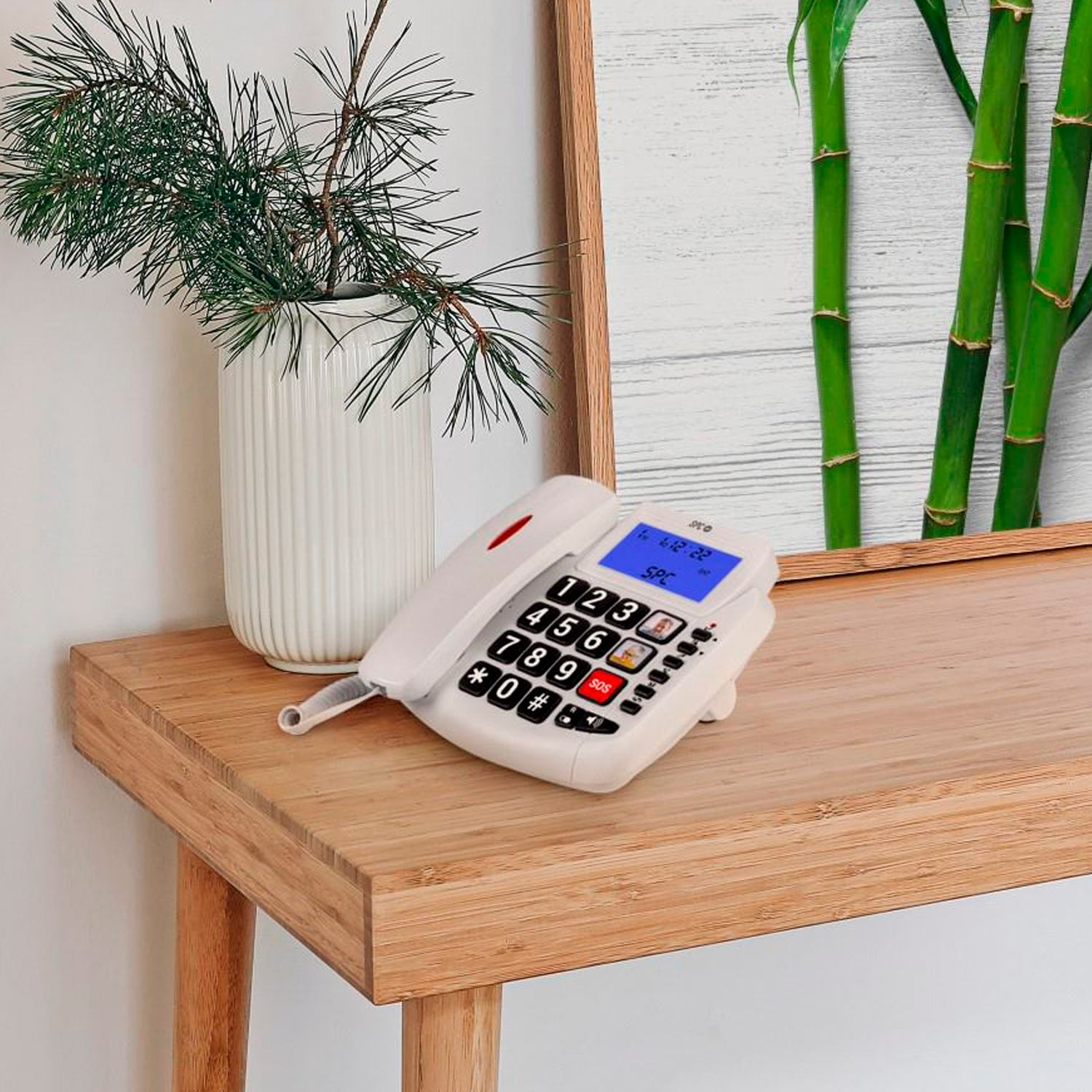 Telefono bianco con pulsanti grandi su un tavolo di legno, accanto a vaso con piante.