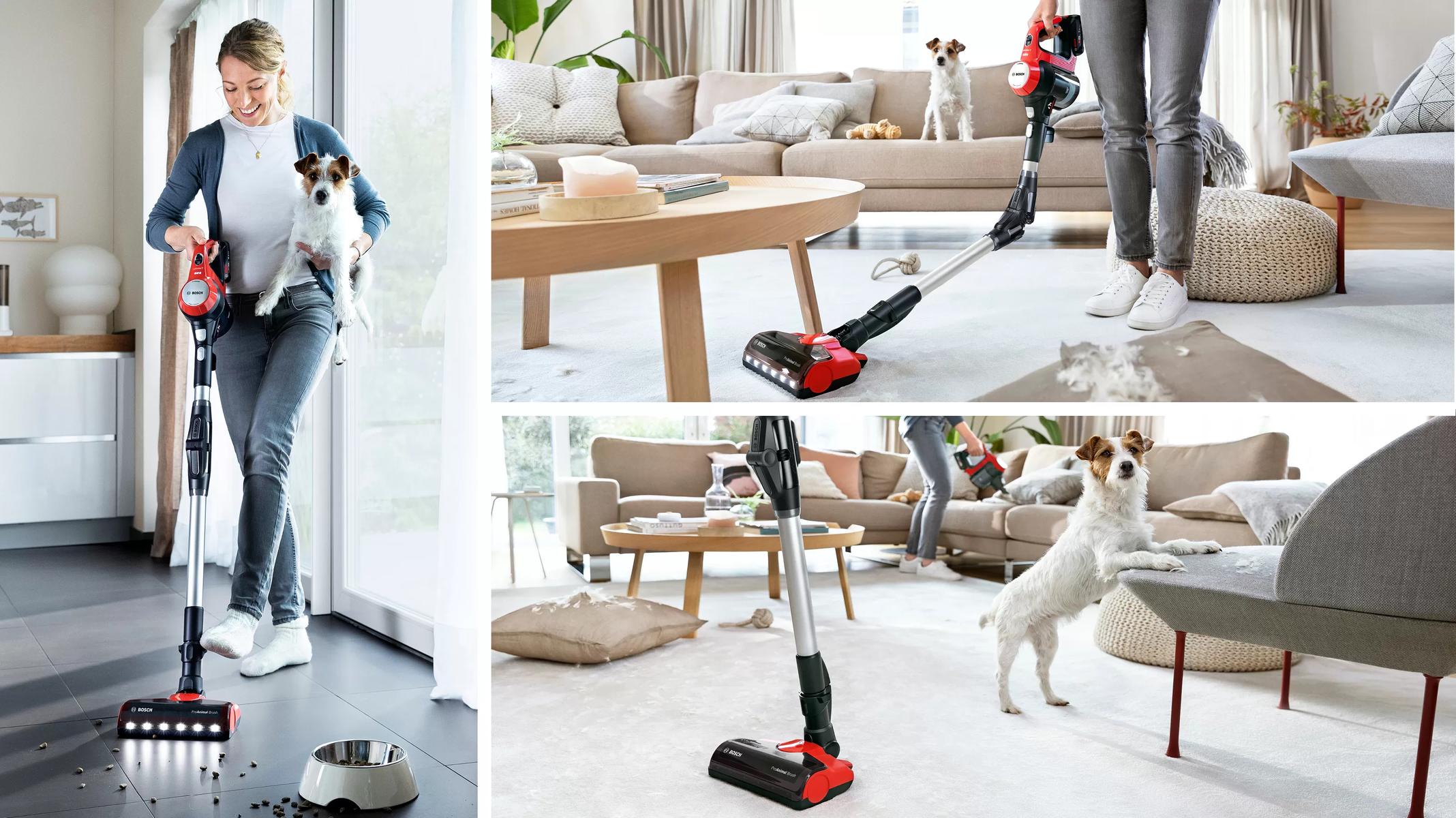 BOSCH BCS711PET Upright vacuum cleaner Red