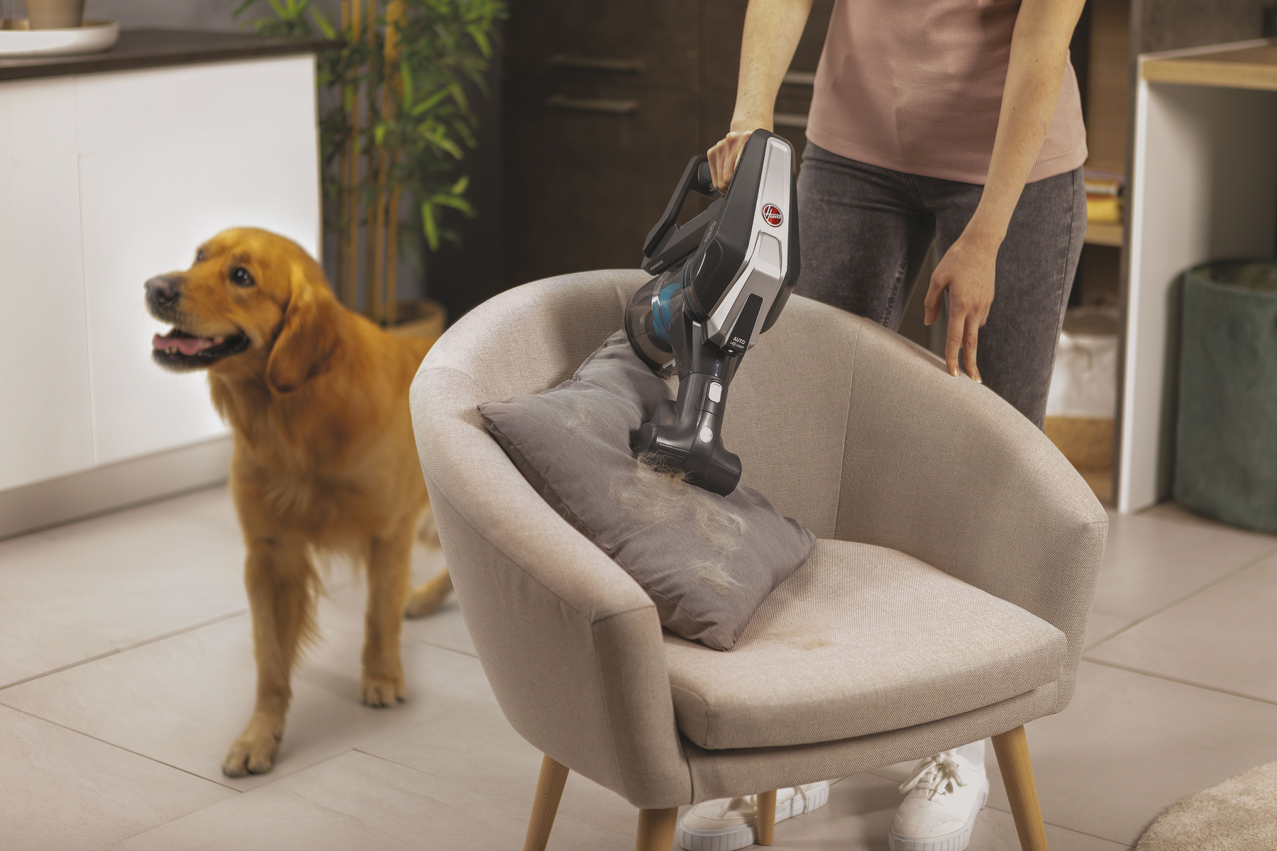 Persona aspirando una almohada en una silla. Un golden retriever está mirando cerca en un entorno doméstico.
