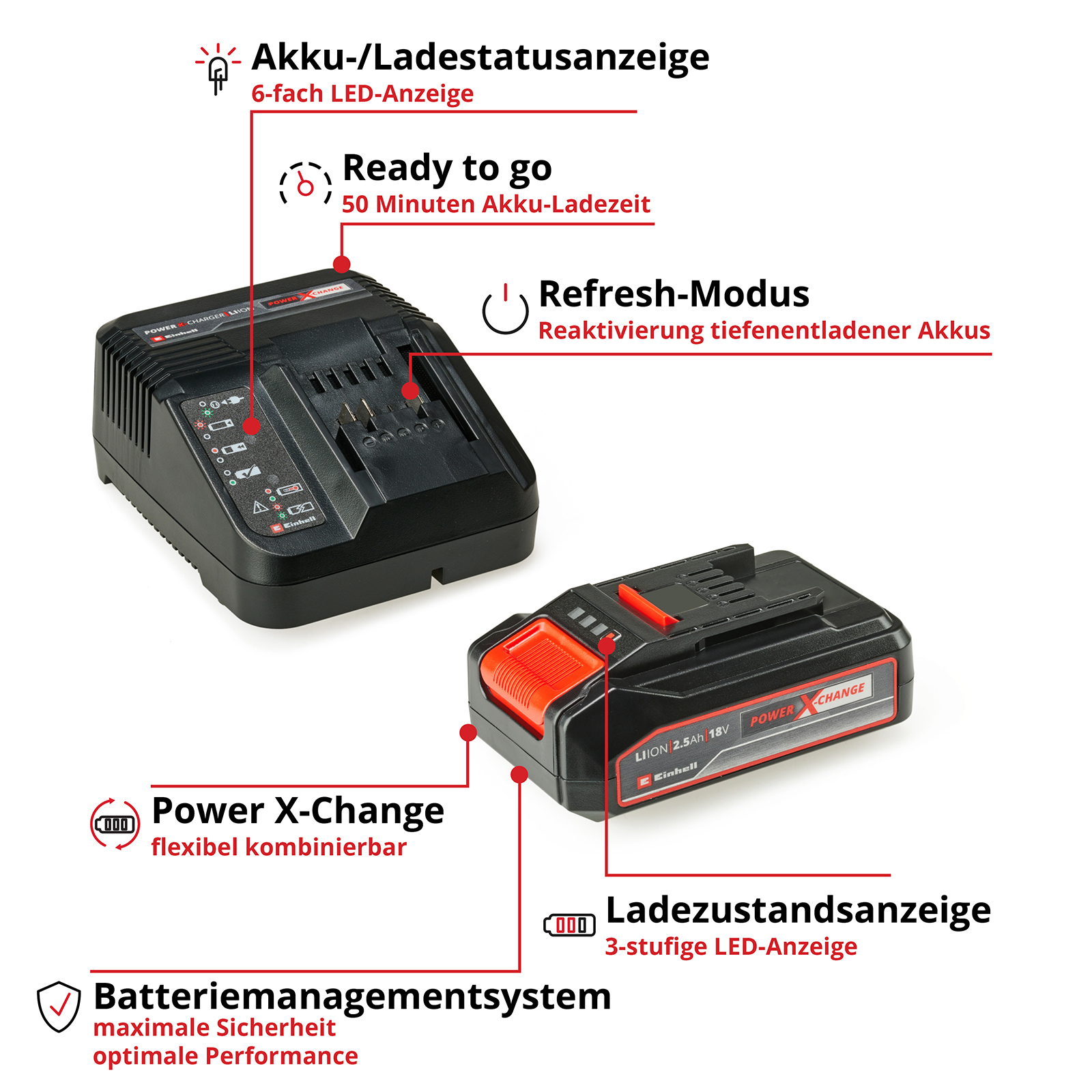 Schwarzes Ladegerät und Akku mit Etiketten, und eine rote Linie über dem Bild.