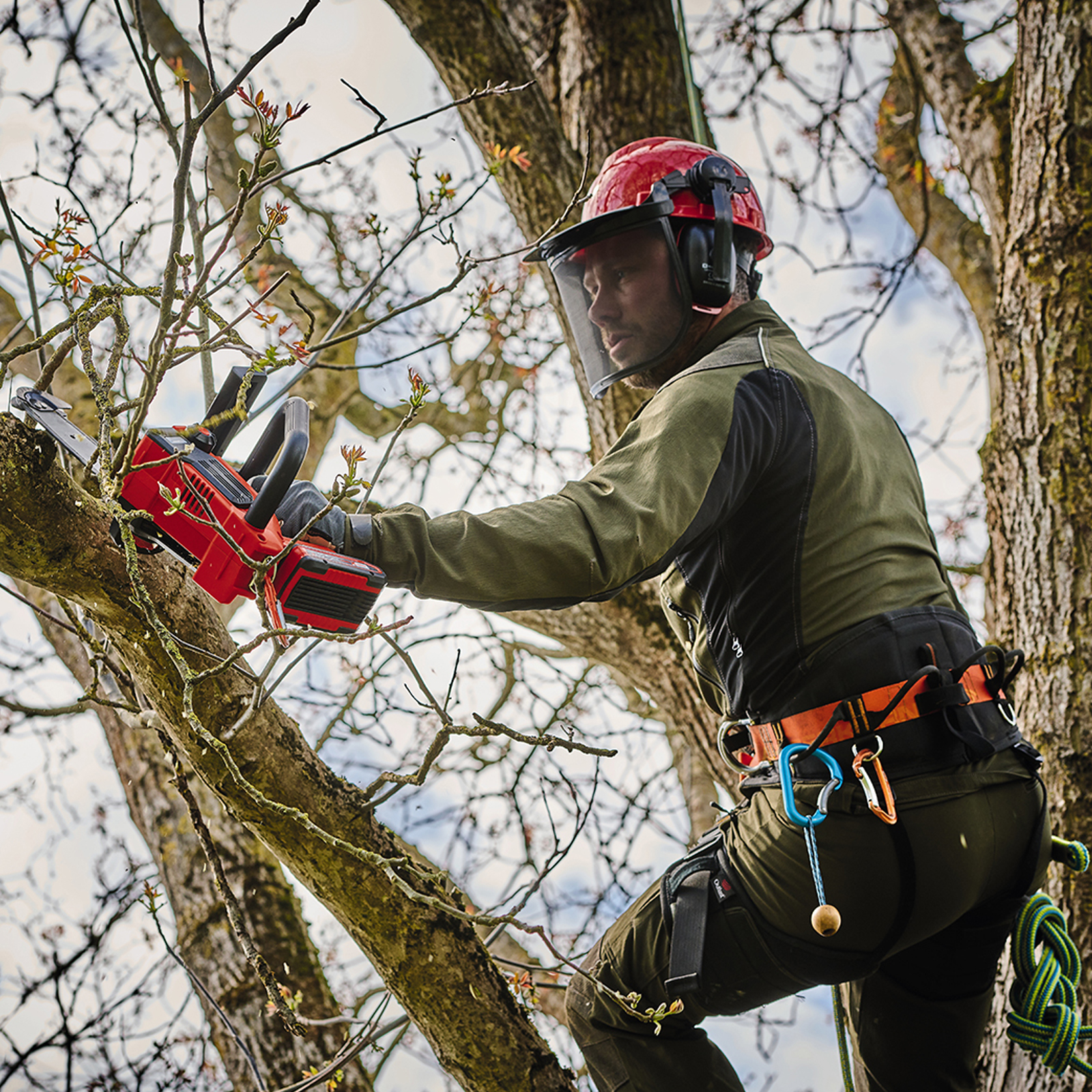 Mężczyzna z piłą łańcuchową na gałęzi, w odzieży ochronnej.