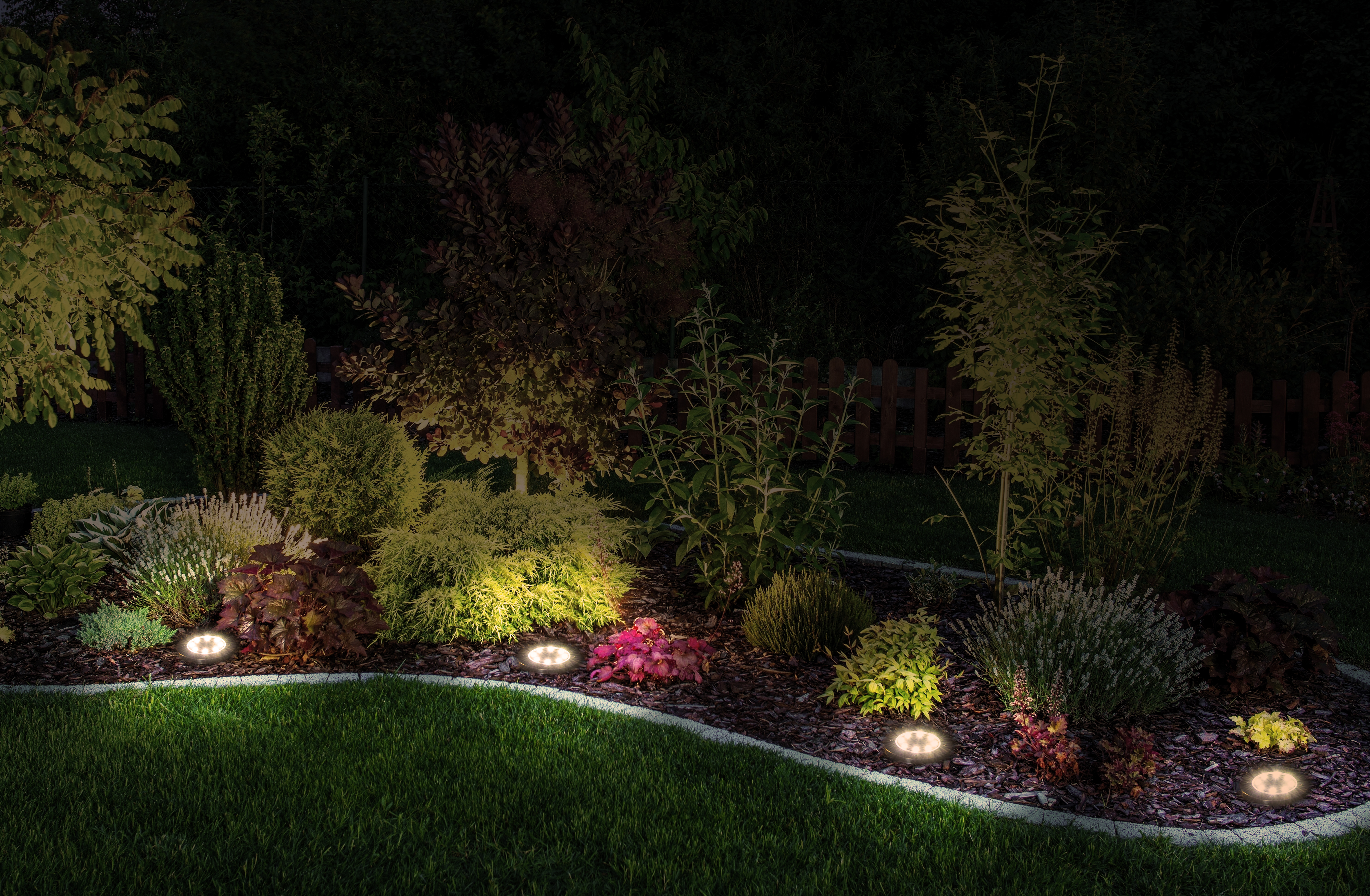 Garten bei Nacht, beleuchtet von Bodenleuchten, mit Pflanzen und Bäumen.