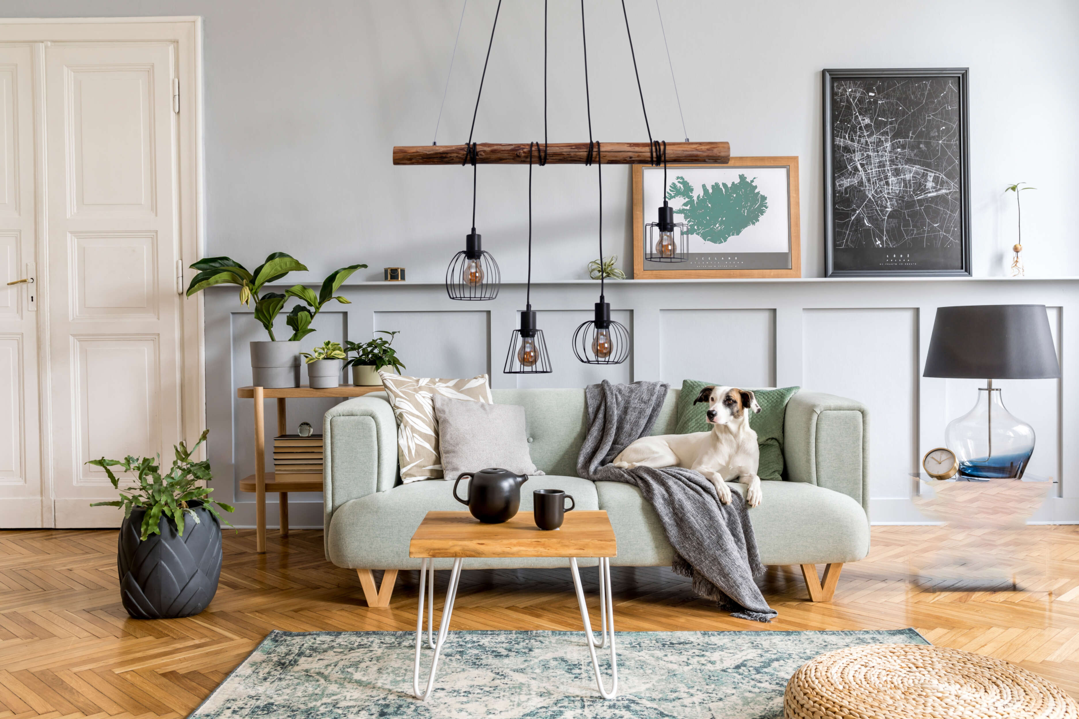 Salon avec canapé, chien et lampes suspendues.