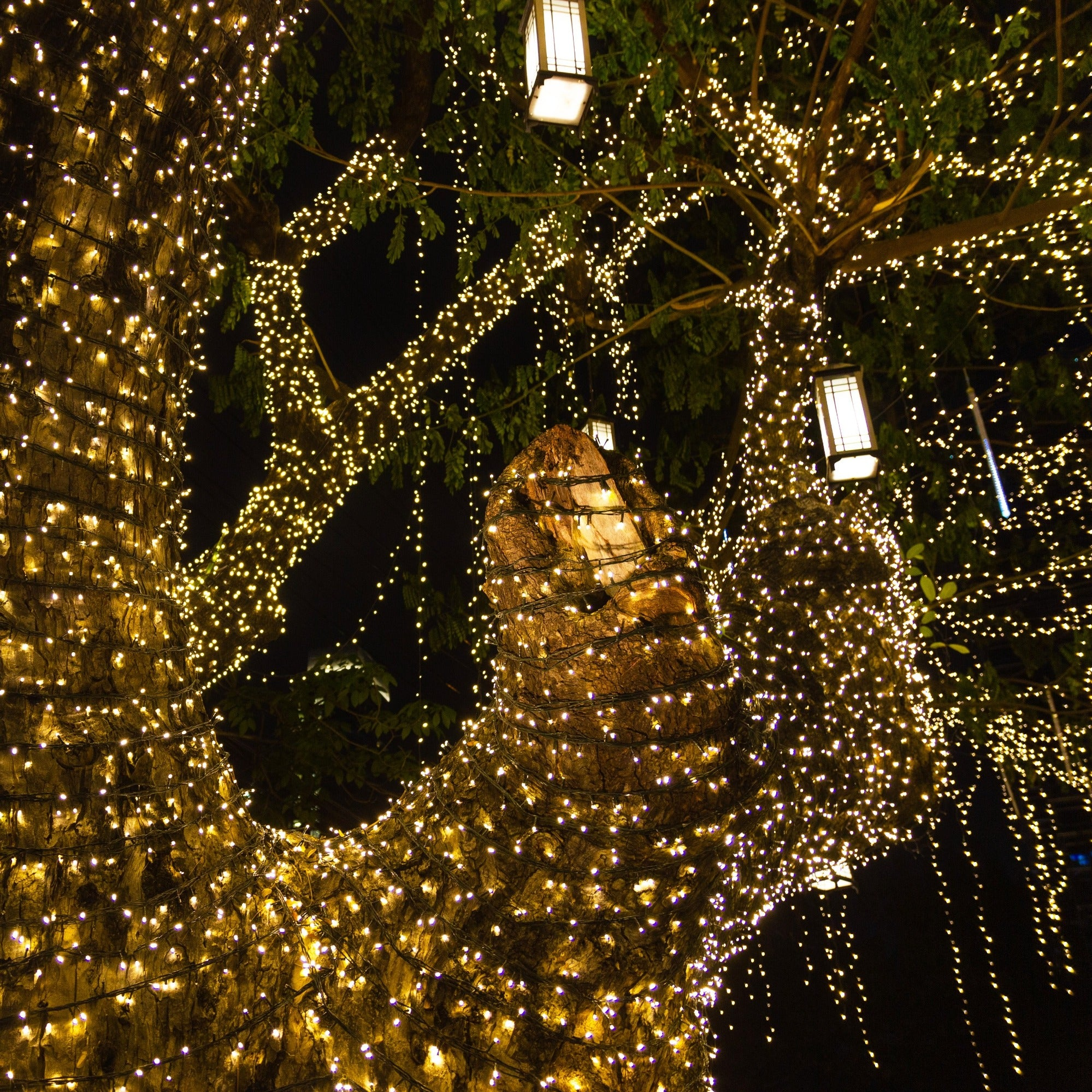 Ein Baum bei Nacht, umwickelt mit gelben Lichterketten, mit hängenden Laternen.