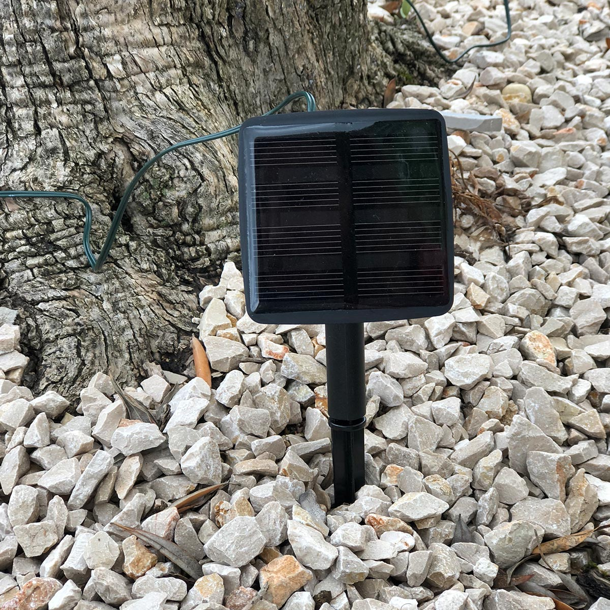 Ein schwarzes Solarpanel auf einem schwarzen Pfahl, umgeben von weißen Steinen, in der Nähe eines Baumstamms. Die Sonne ist sichtbar.