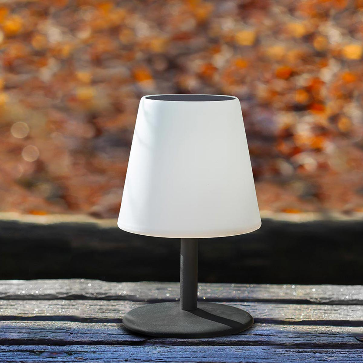 Eine weiße Lampe auf dunklem Sockel, mit verschwommenem Herbsthintergrund.