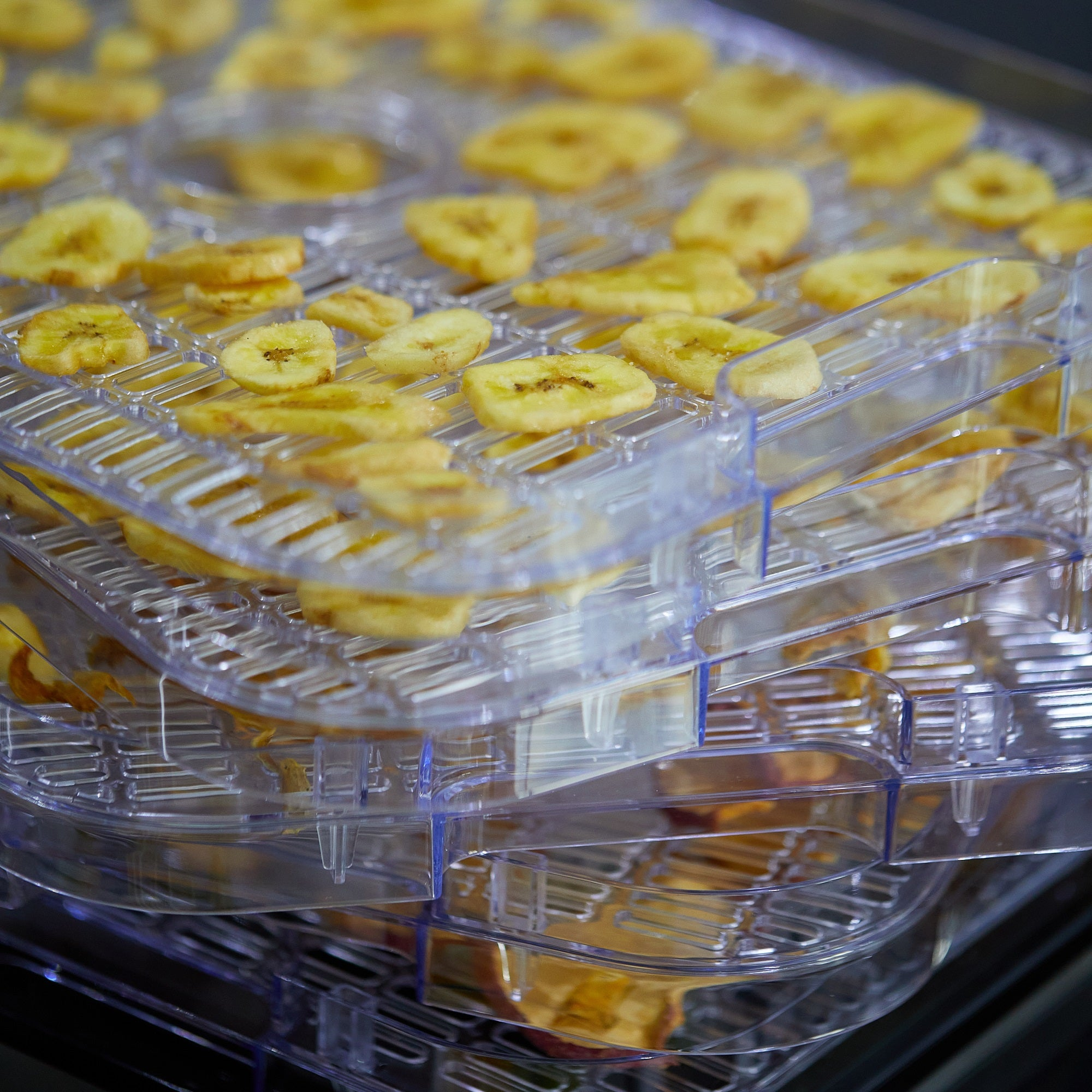 Fette di banana disidratate impilate su vassoi di plastica trasparente di un essiccatore per alimenti.
