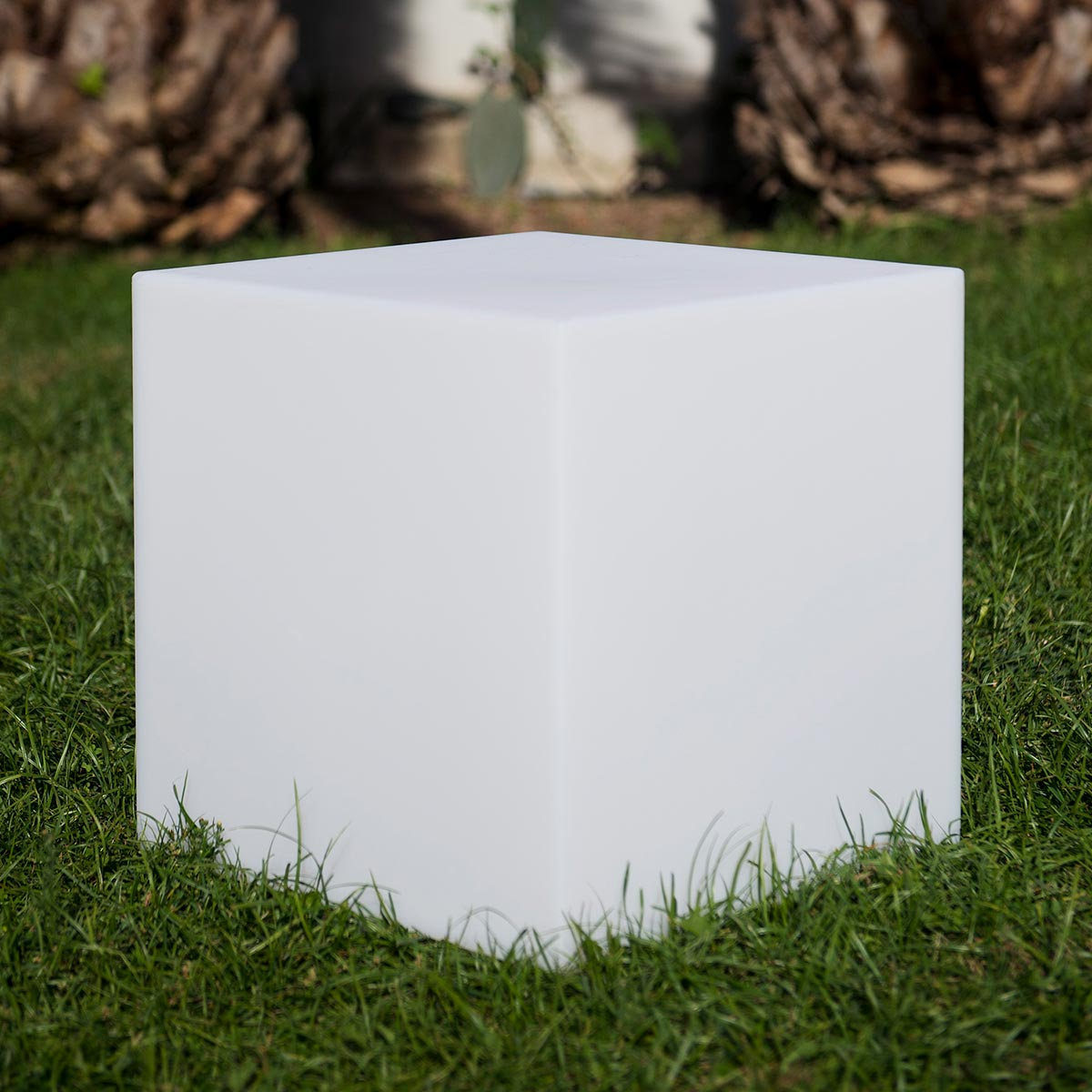 Weißer Würfel auf grünem Gras, beleuchtet von Sonnenlicht. Palmen im Hintergrund.