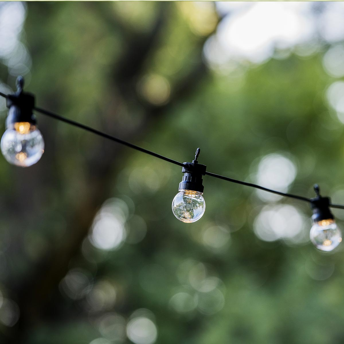 Lichterketten mit drei Glühbirnen hängen an einem schwarzen Draht, grüner Hintergrund.