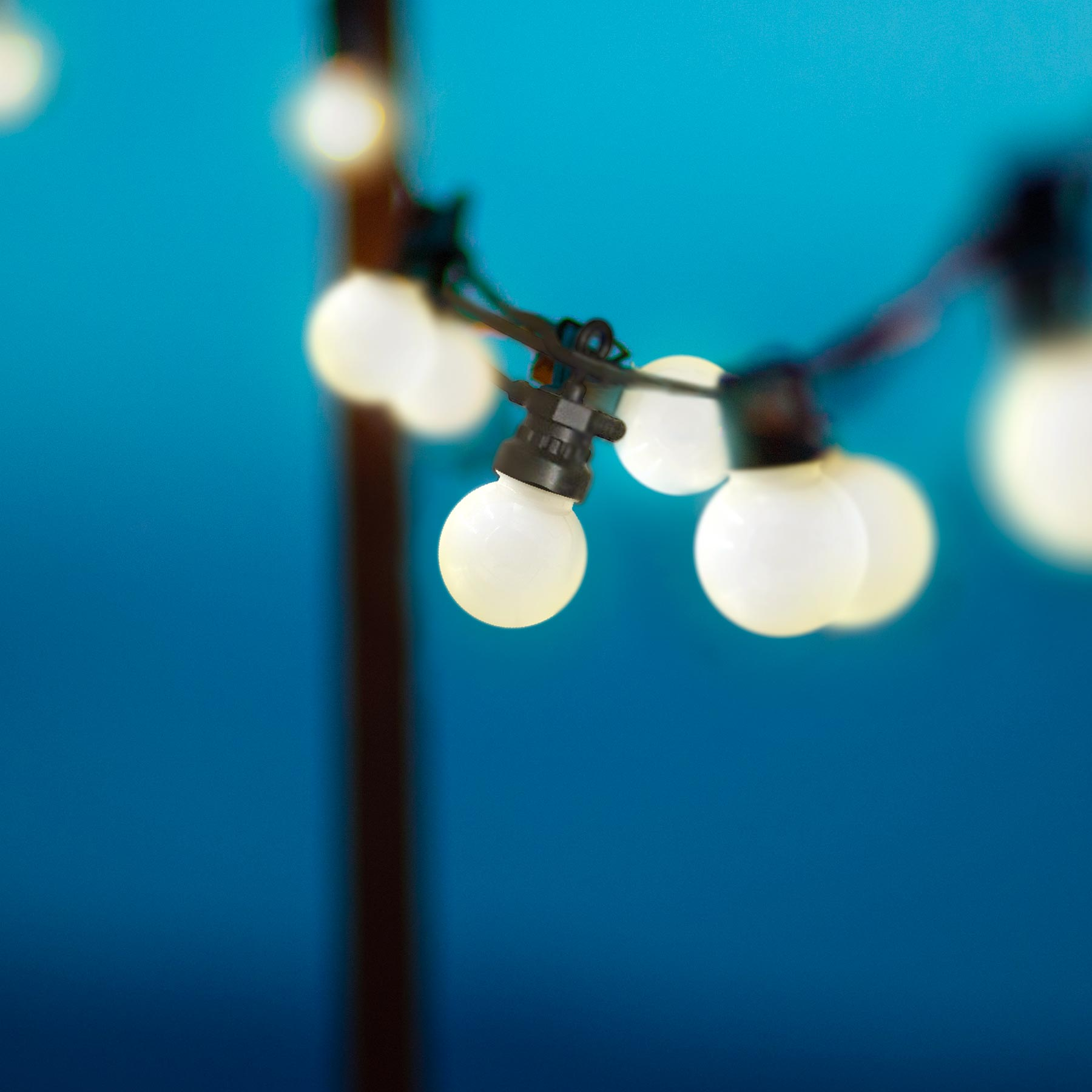 Lichterkette mit weißen Glühbirnen vor blauem Hintergrund, einige Glühbirnen sind scharf.