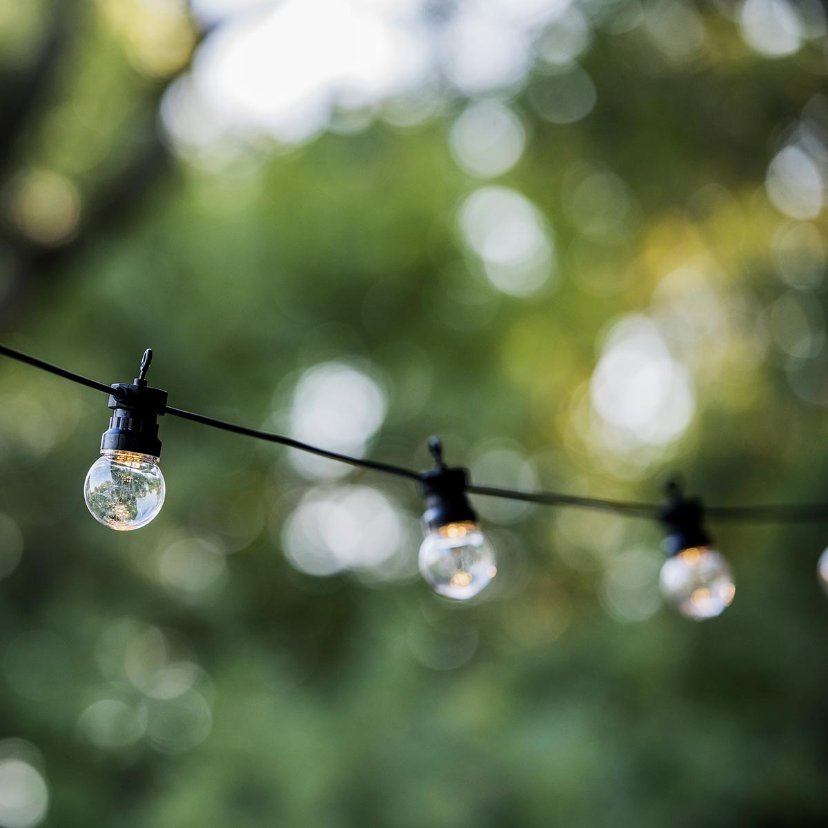 Lichterkette mit drei Glühbirnen, die vor einem verschwommenen grünen Hintergrund hängen.