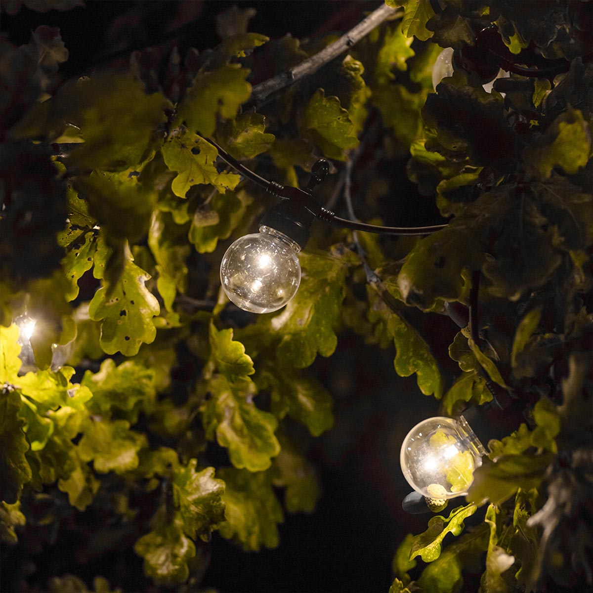 Lichterkette mit Glühbirnen. Grüne Blätter im Hintergrund. Glühbirnen leuchten.