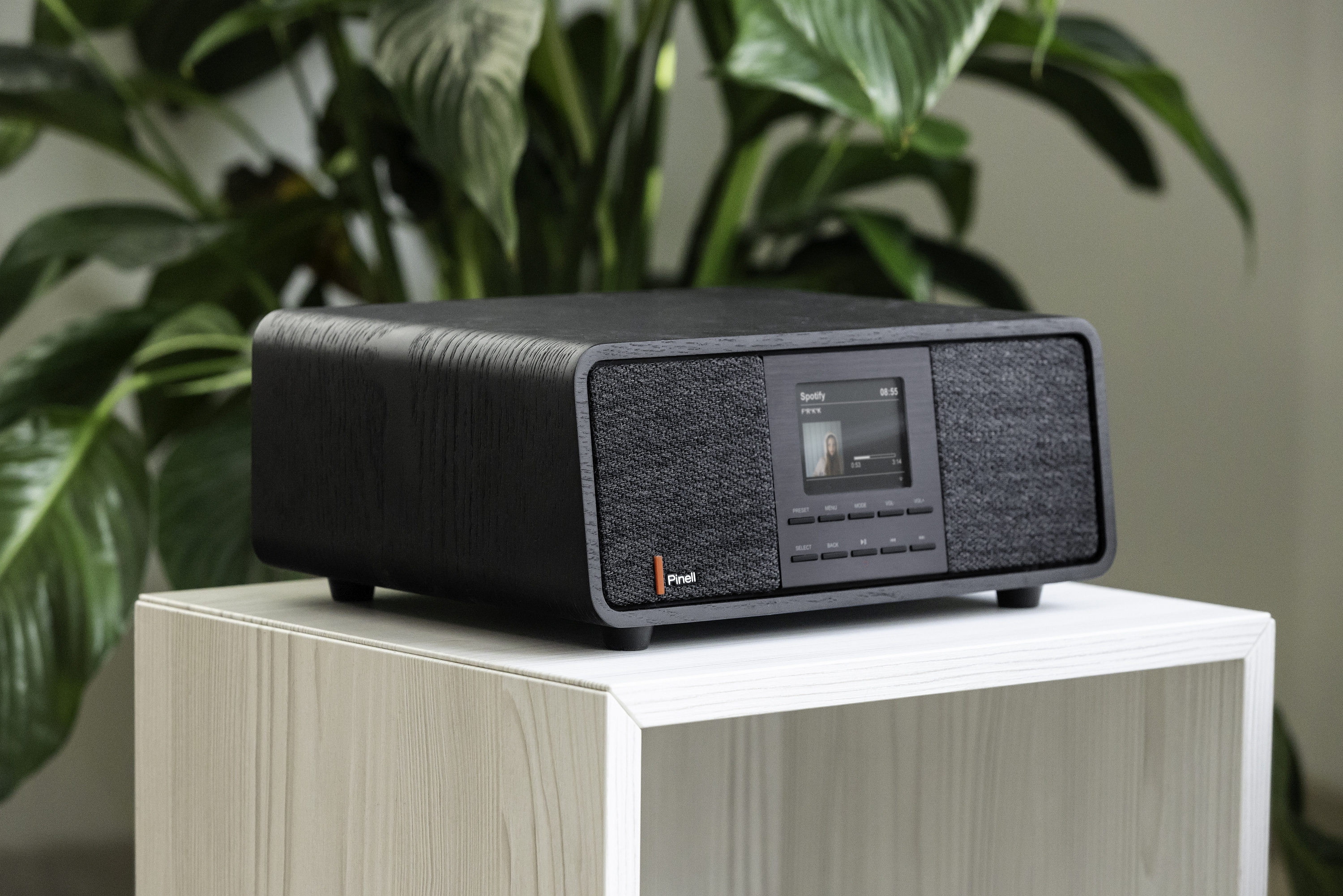 Black wooden speaker on a white shelf, with a green plant in background.