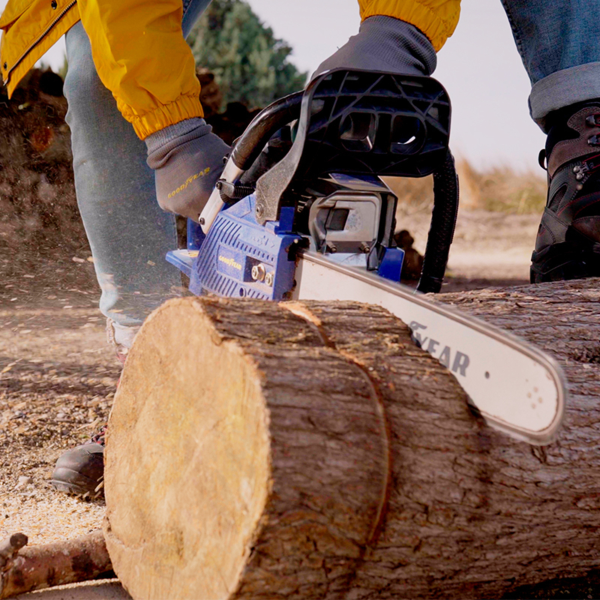 Persona cortando un tronco con motosierra azul. El tronco está sobre una superficie de madera.