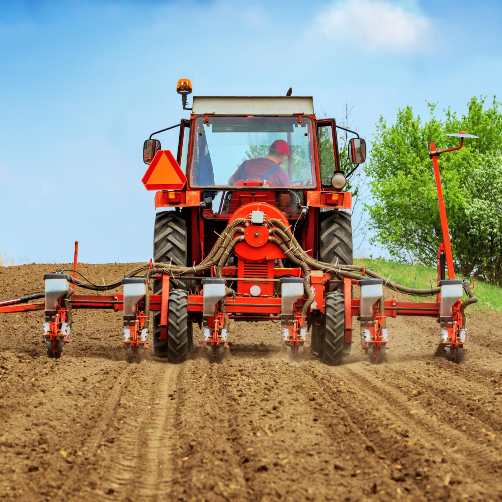 Tractor rojo con sembradora, plantando en un campo, bajo un cielo azul con un árbol al fondo.