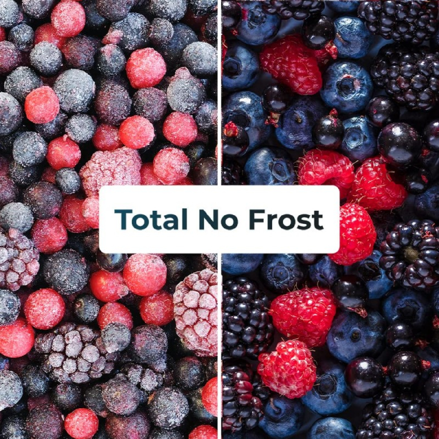 Podzielony obraz mrożonych jagód: borówek, malin i jeżyn. U góry tekst "Total No Frost".