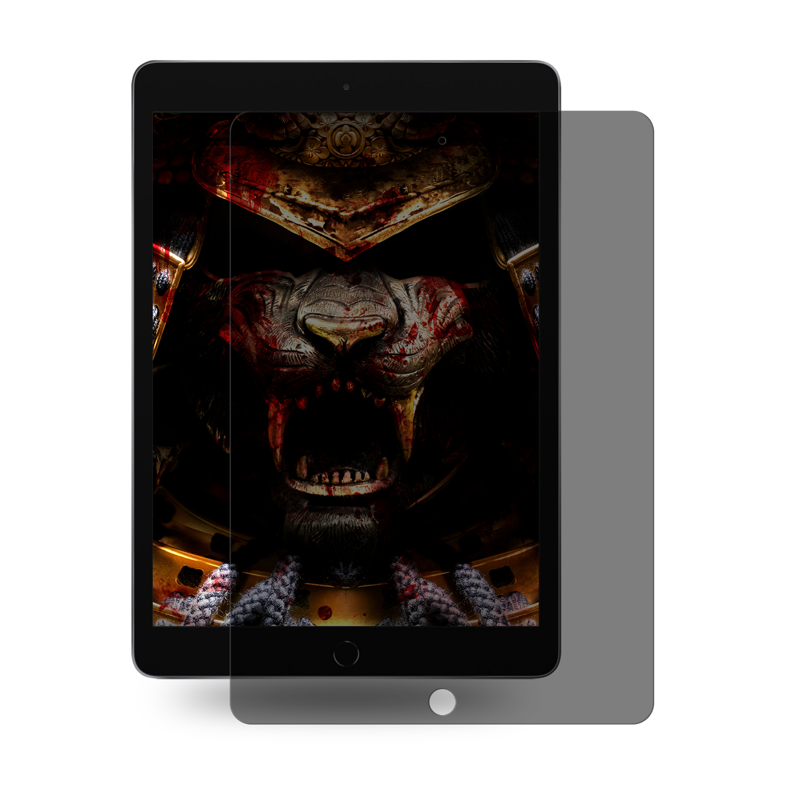 PROTECTORKING 1x 9H Pro Apple iPad ANTI-SPY Displayschutzfolie(für Privacy Panzerglas 10.5)