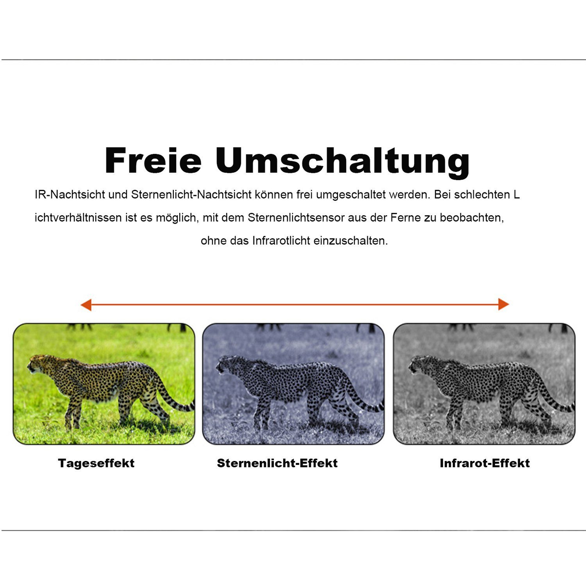 Drei Bilder eines Geparden in verschiedenen Nachtsichtmodi: Tag, Sternenlicht und Infrarot.