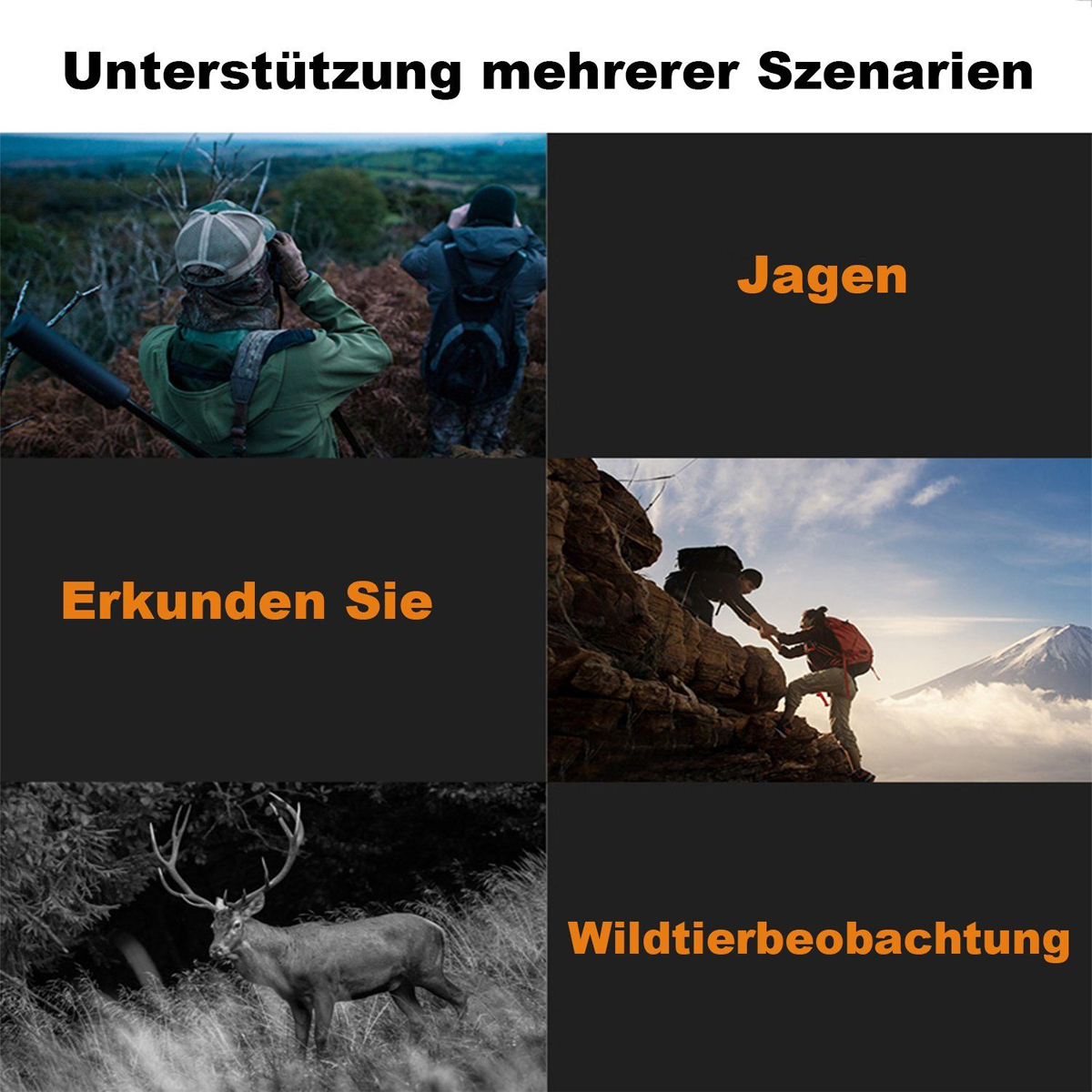 Collage von Bildern, eines von einem Jäger mit Fernglas, eines von Wanderern und ein Hirsch auf einem Feld. Text in Deutsch.