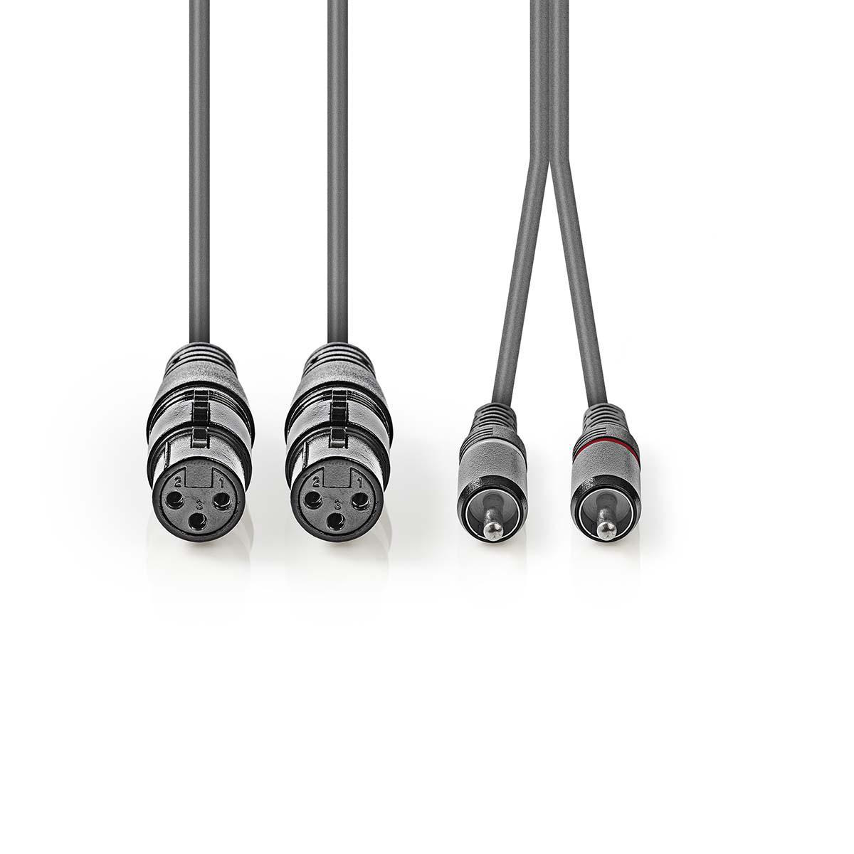 Zwei Audiokabel. Eines mit XLR-Steckern, das andere mit Cinch-Steckern.