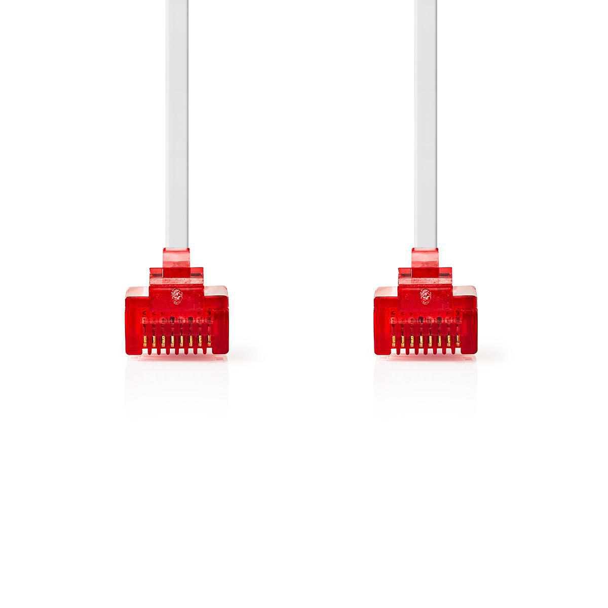 Due cavi ethernet rossi con connettori RJ45.