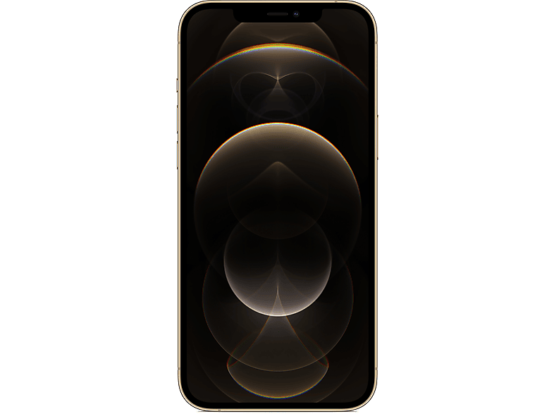 REFURBISHED Max APPLE iPhone Dual Gold SIM 12 256 (*) Pro GB