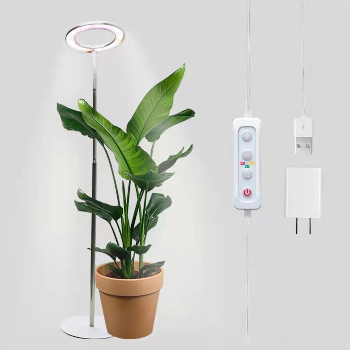 Una planta con una lámpara de cultivo. La luz es un anillo. Hay un adaptador de corriente y un panel de control.