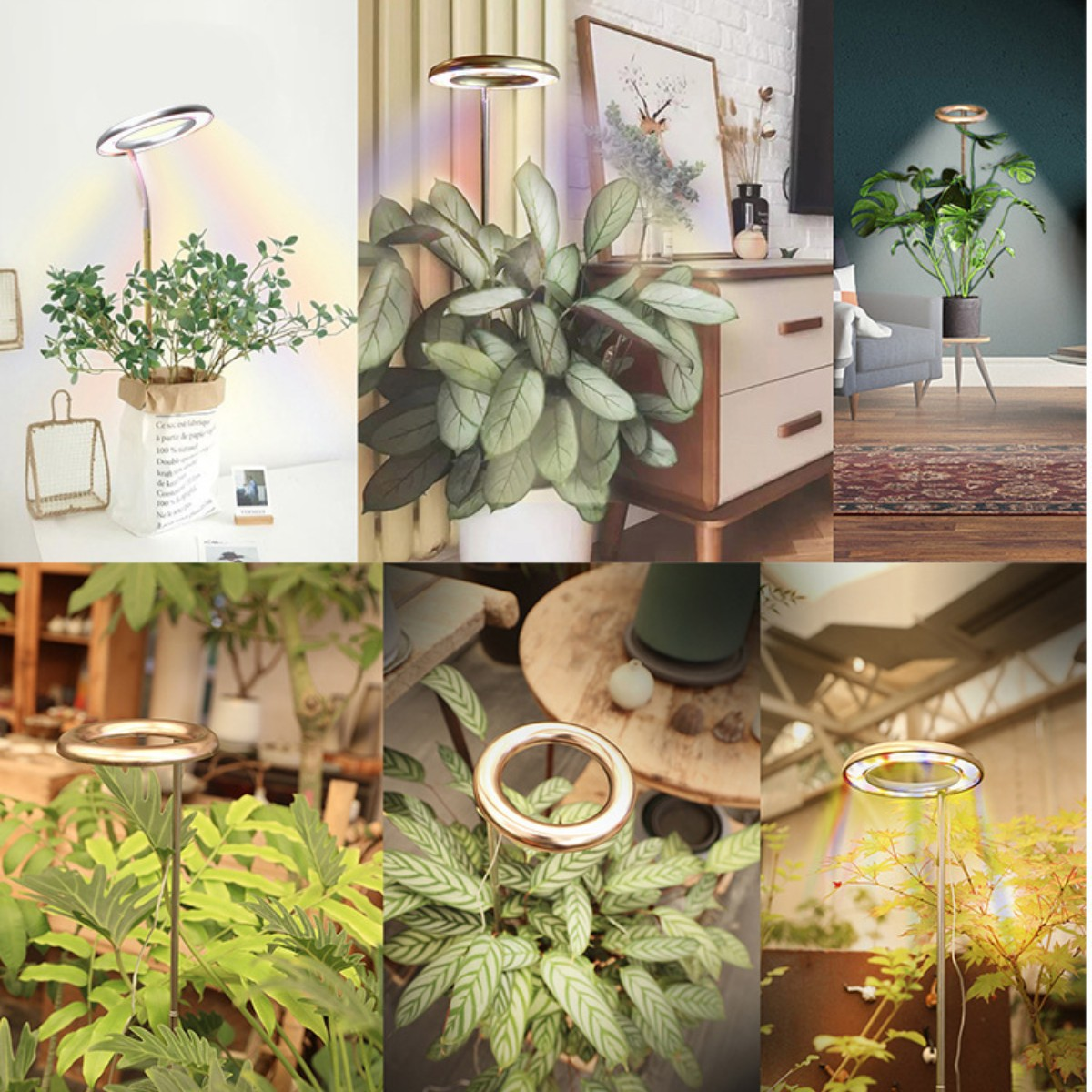 Varias plantas de interior con luces LED. La escena incluye plantas, luces y varias configuraciones de decoración del hogar.