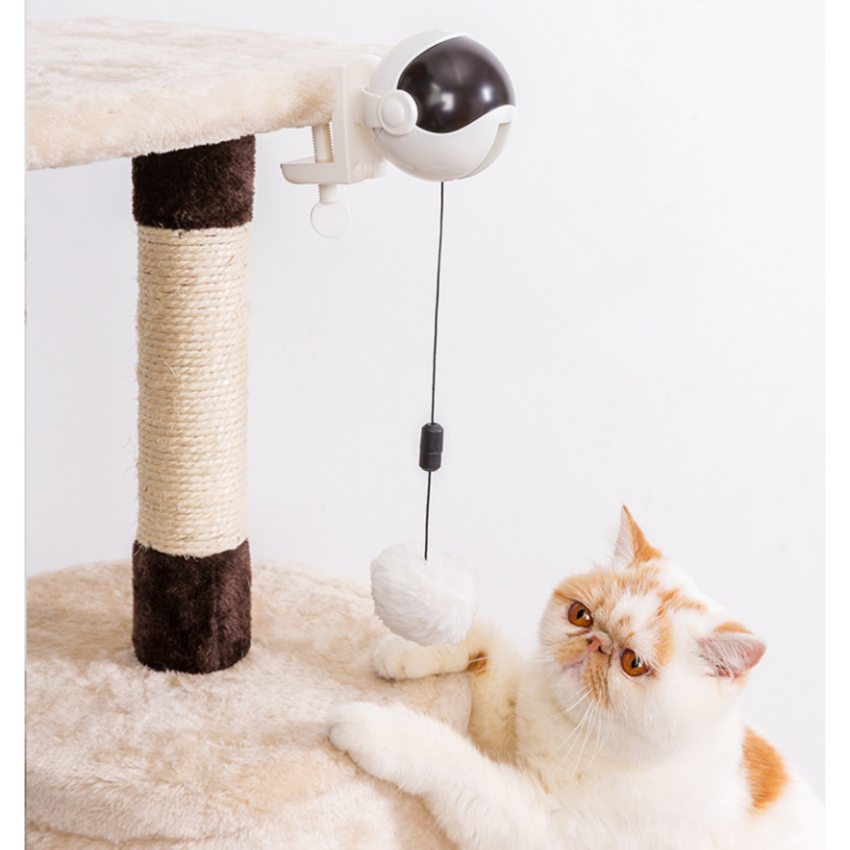 Katze spielt mit hängendem Spielzeug. Weißer Hintergrund. Beiger Kratzbaum.