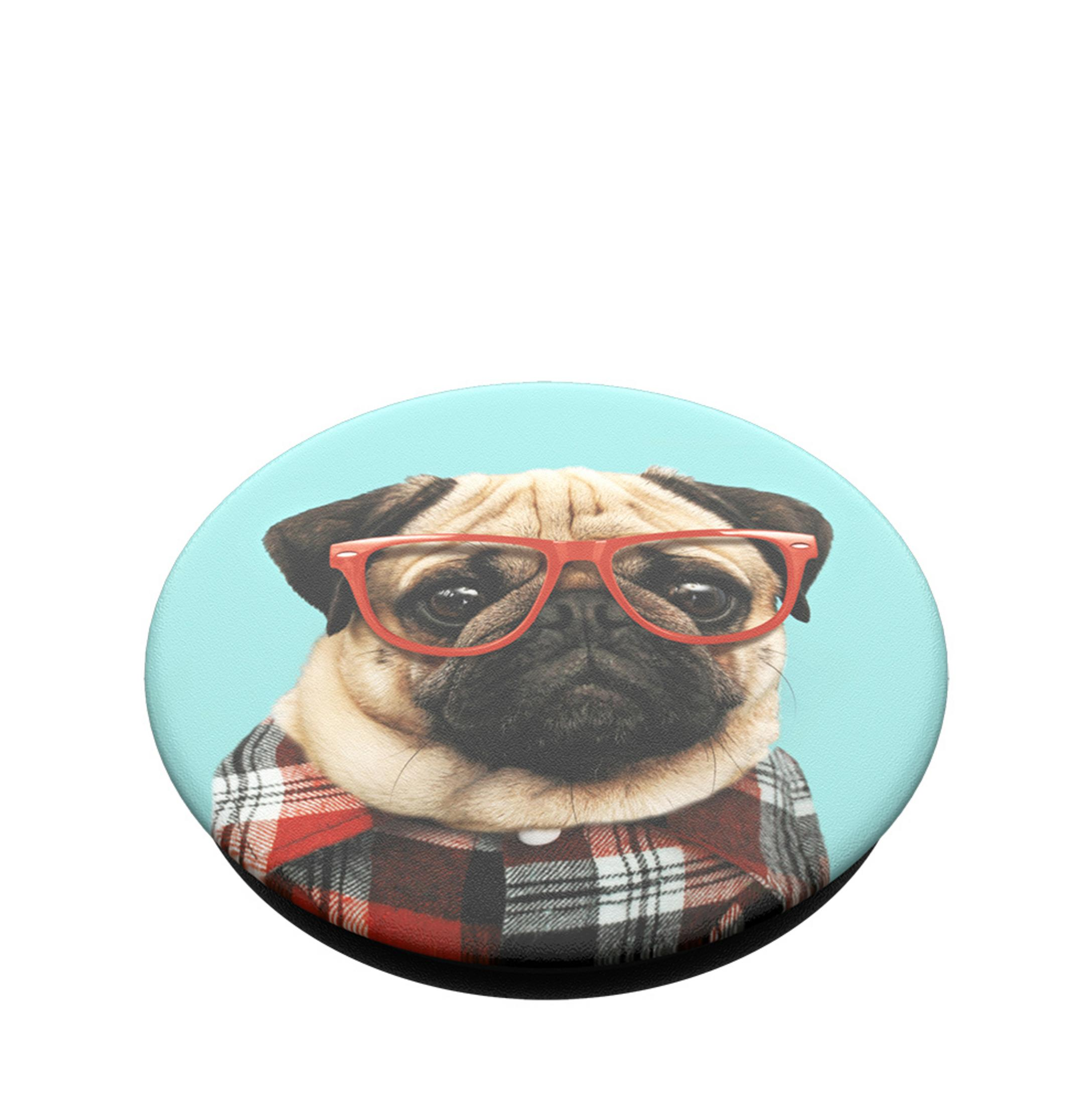 Ein Mops mit roter Brille und kariertem Hemd.