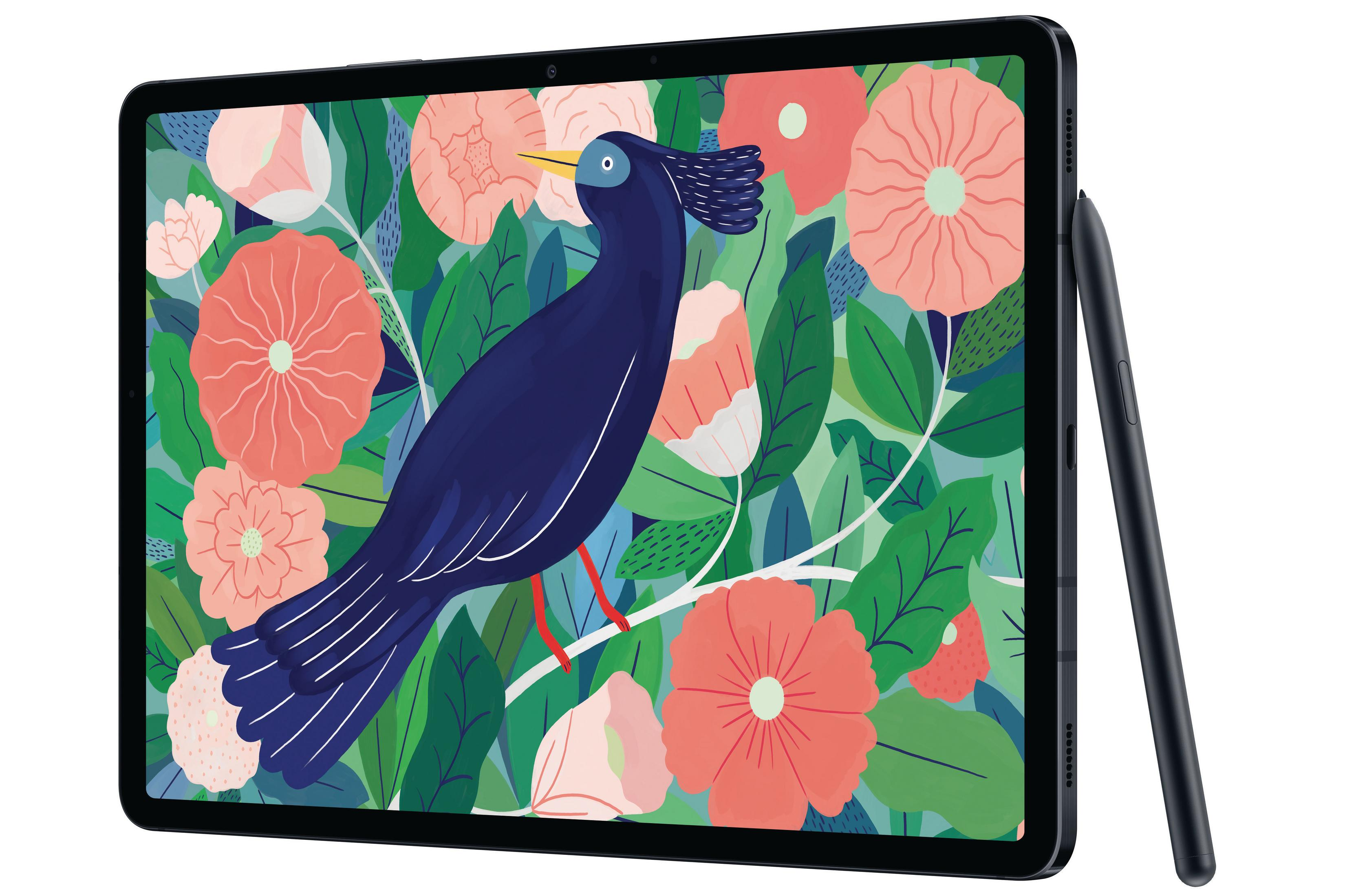 Tablet mit Vogelillustration und Stift. Blätter und Blumen auf dem Bildschirm.