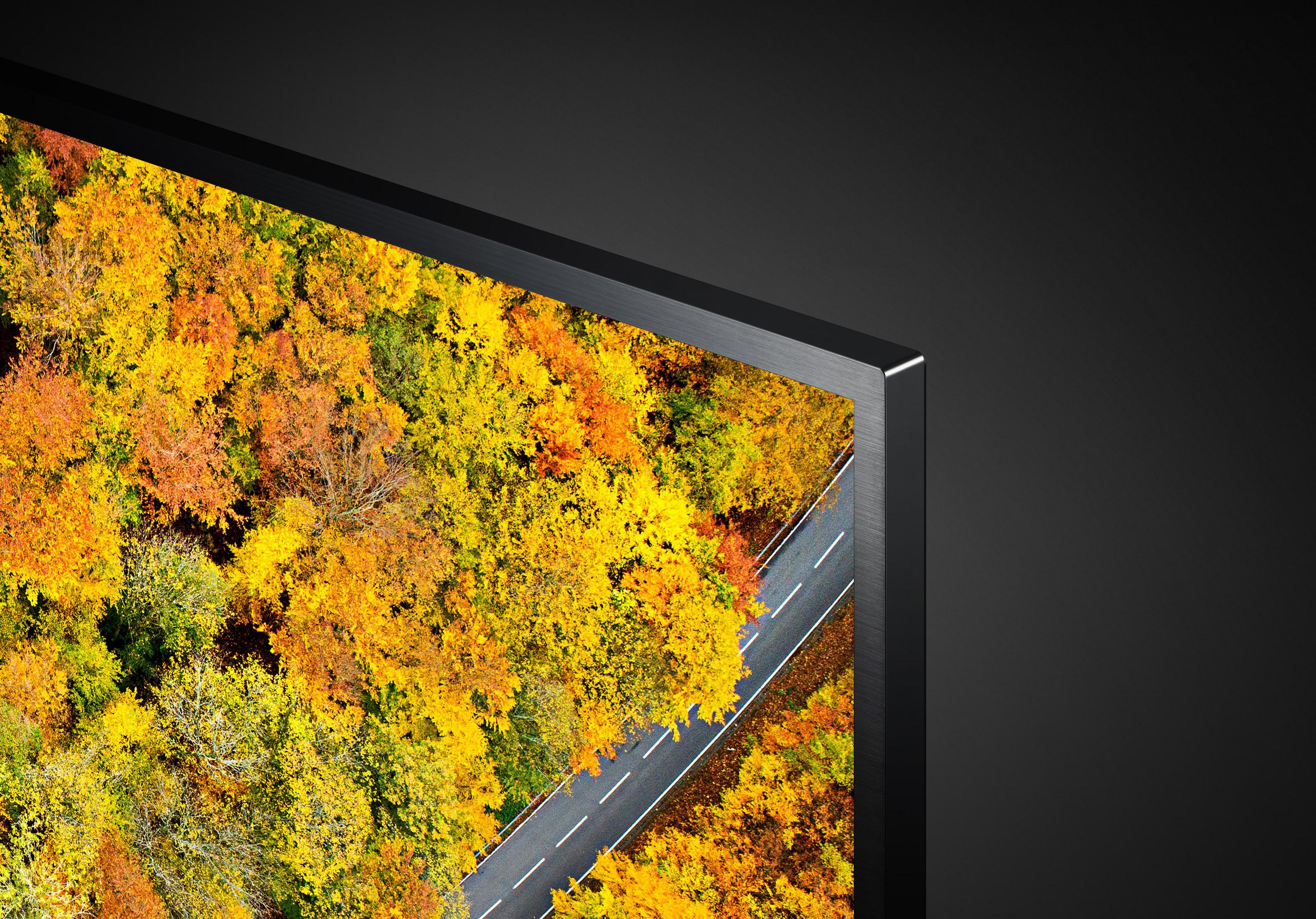Ekran telewizora pokazujący leśną drogę w jesiennych barwach. Czarna ramka i tło.