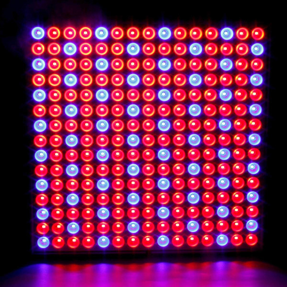Quadratisches LED-Lichtpanel mit roten und blauen Lichtern auf schwarzem Hintergrund.