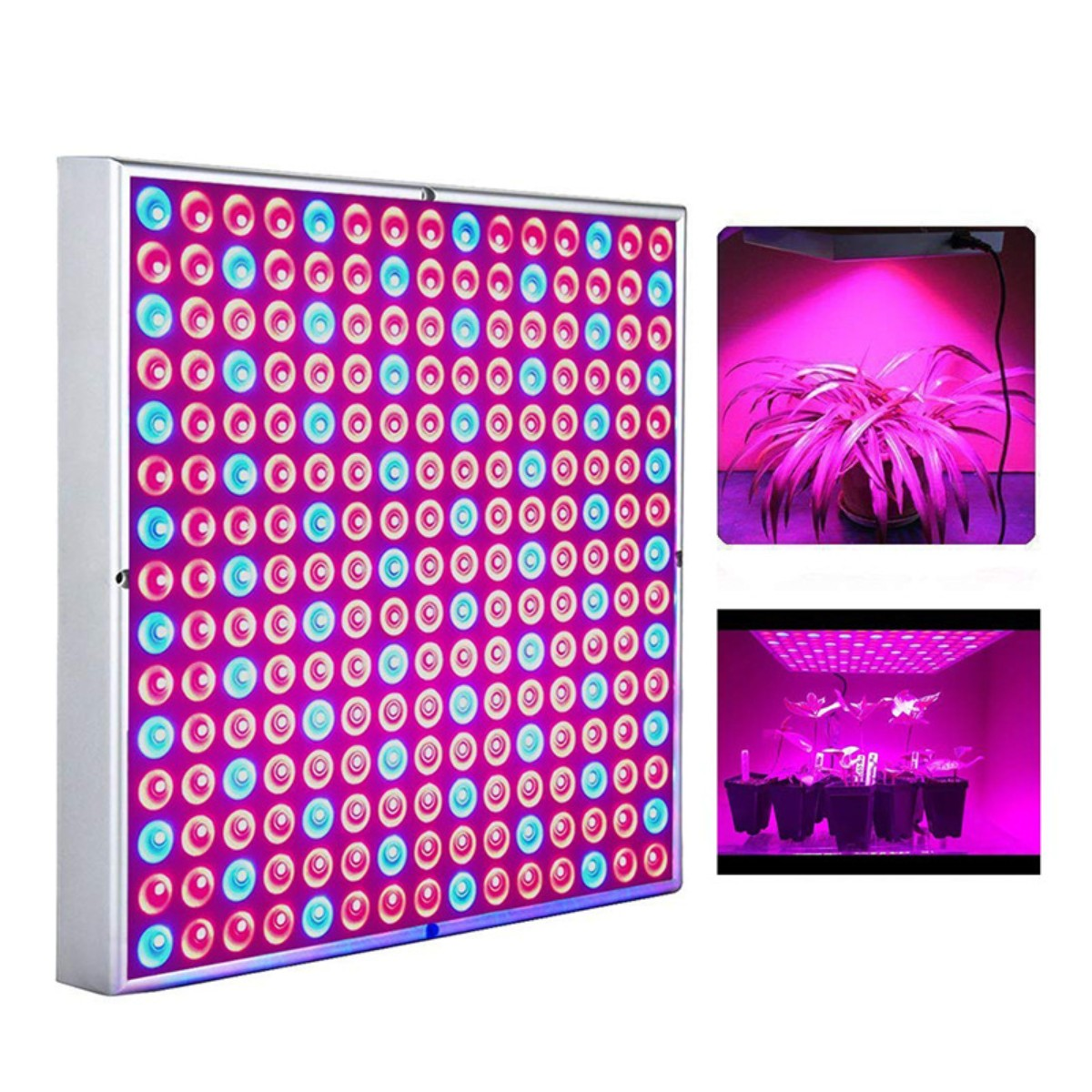Quadratische LED-Wachstumslampe mit roten und blauen Lichtern, sowie Pflanzeneinlegern.