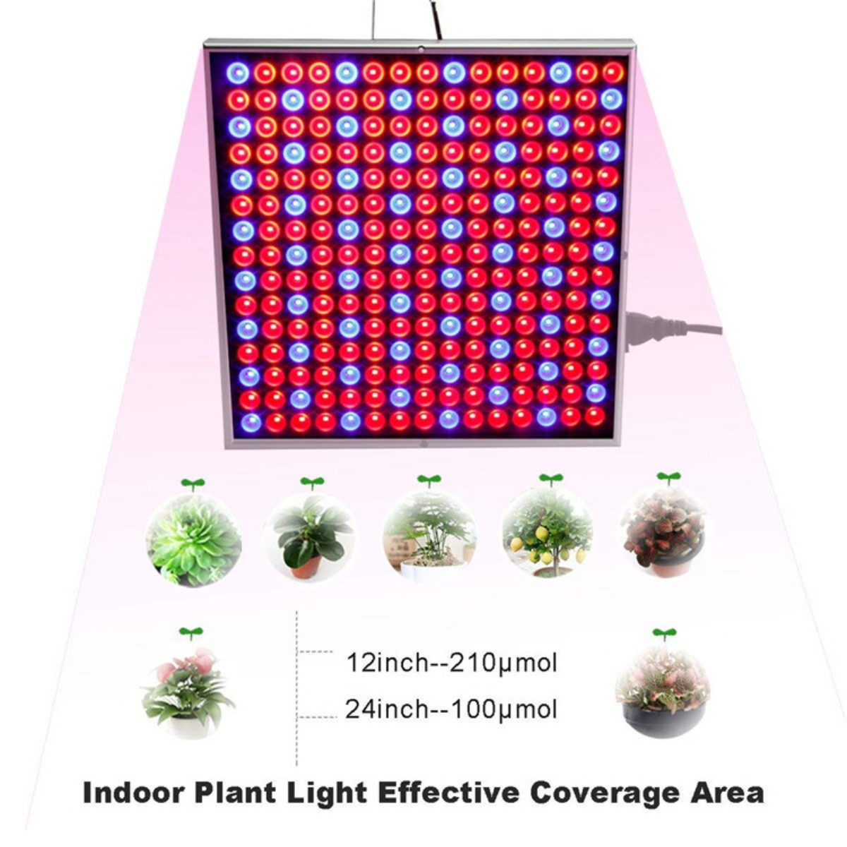 Pflanzenleuchte, Pflanze Silber, Lichter Pflanze und 45W Quadrat Rot blau Fill Panel wachsen blau und SYNTEK Lichter Licht rot