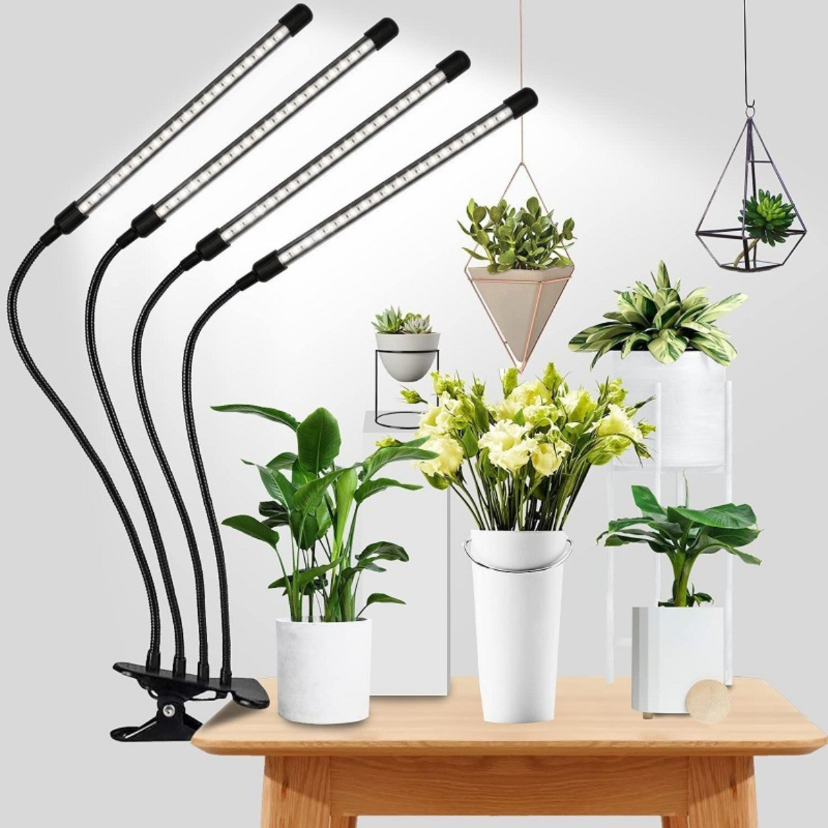 Cuatro luces LED de cultivo con plantas y flores sobre una mesa de madera. Varias plantas en macetas.