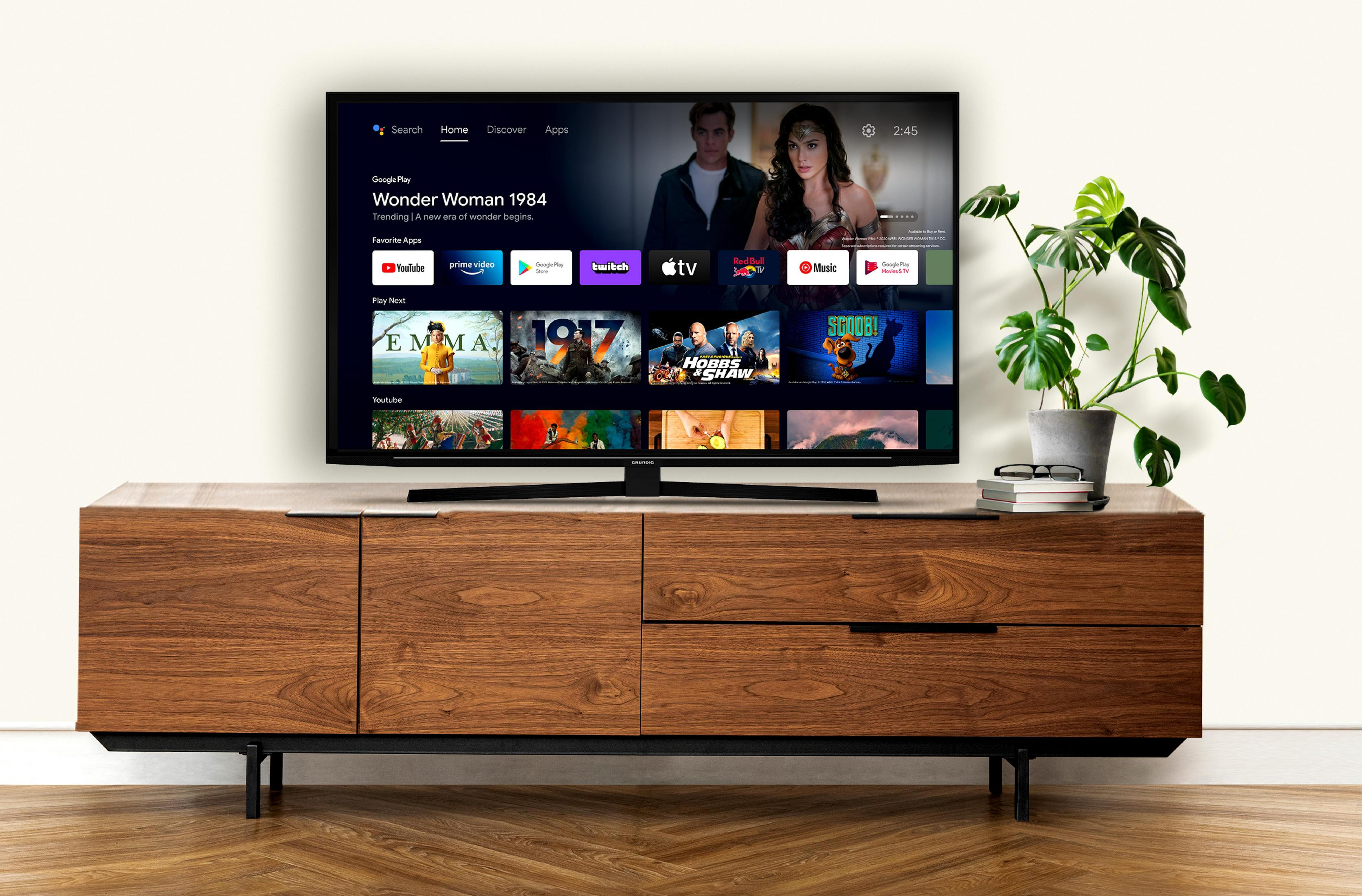 TV sur meuble en bois, interface d'application. Plante à droite.
