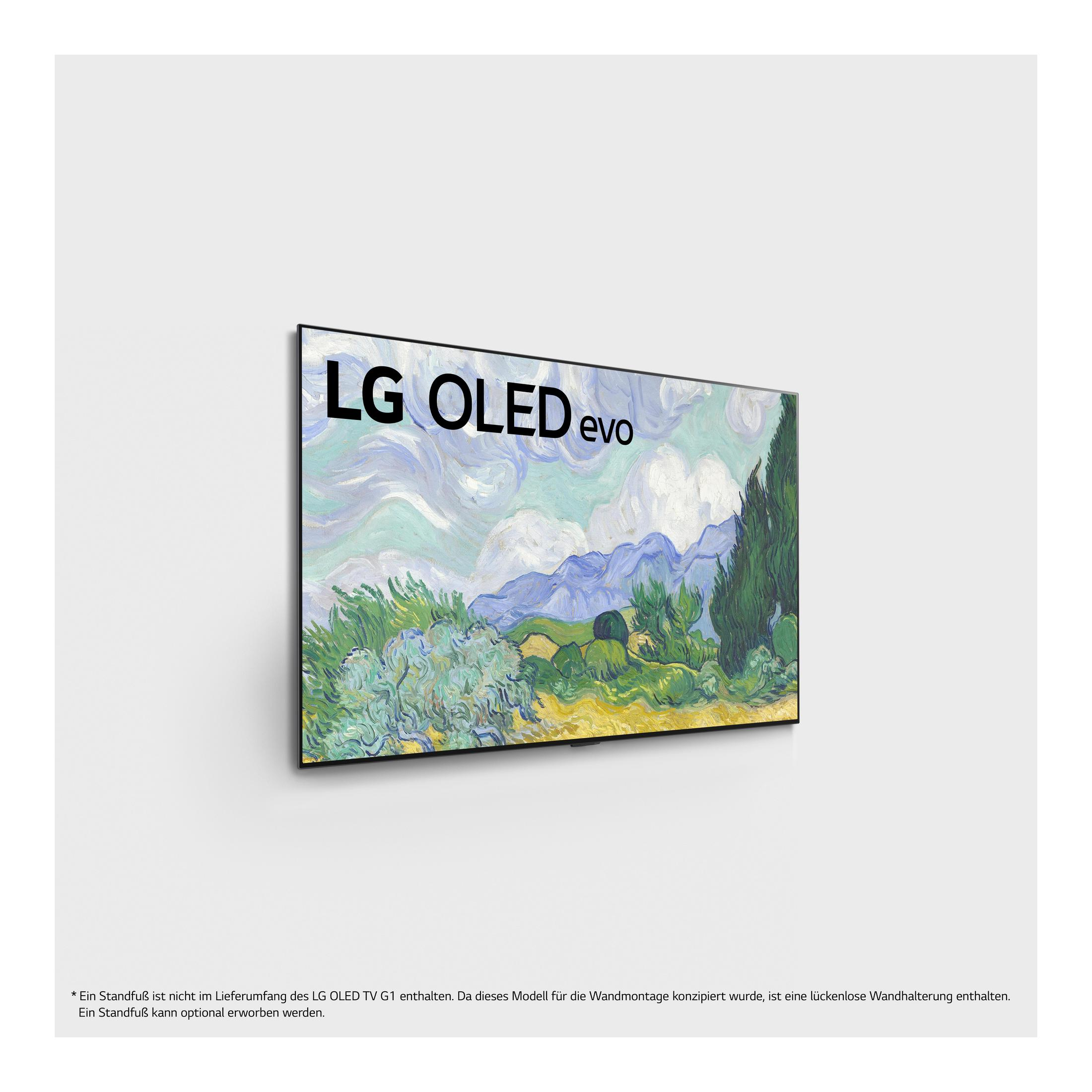 LG OLED 65 G 19 cm, (Flat, TV OLED mit 164 Zoll SMART UHD webOS 4K, TV, ThinQ) LG 6.0 65 LA.AEU 