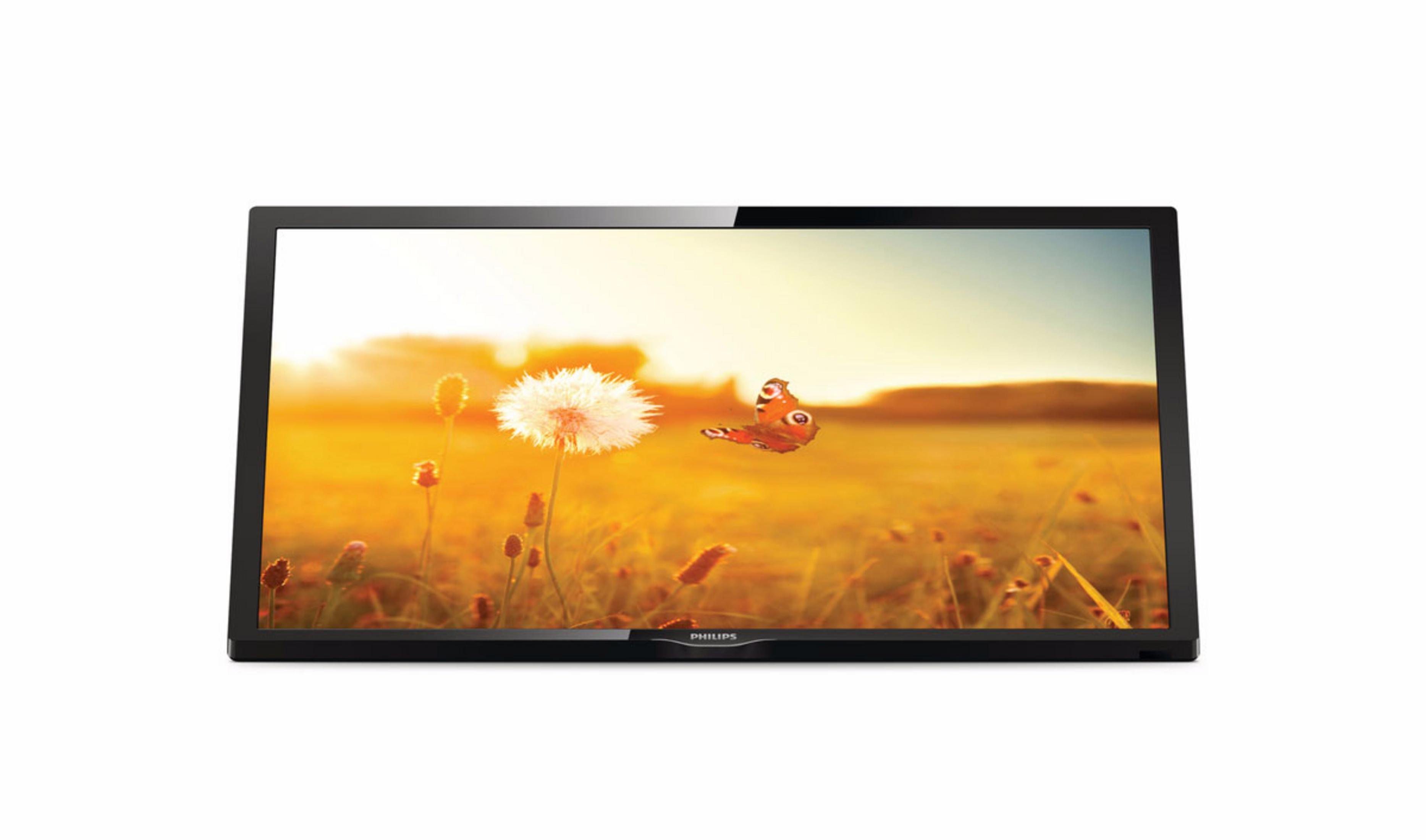 Una TV che mostra un campo di fiori con una farfalla, su uno sfondo di cielo soleggiato.