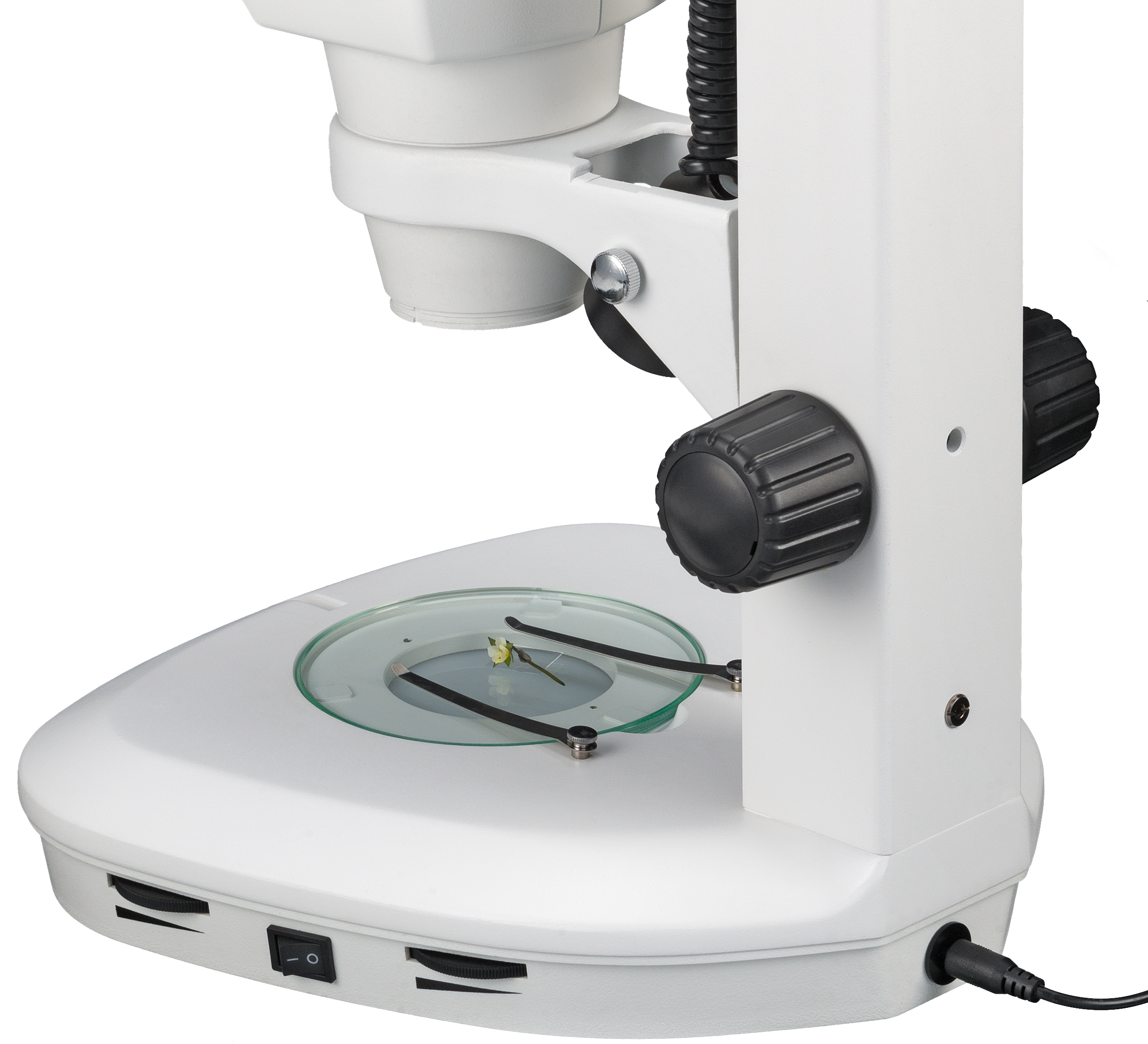 Un microscopio blanco con una muestra en una placa de vidrio, vista en ángulo.