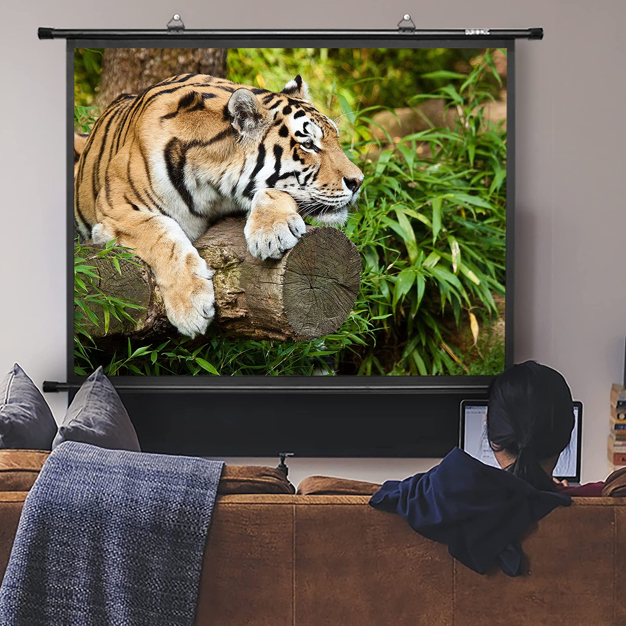 Tigerbild auf einer Projektorleinwand mit einer Person, die zuschaut.