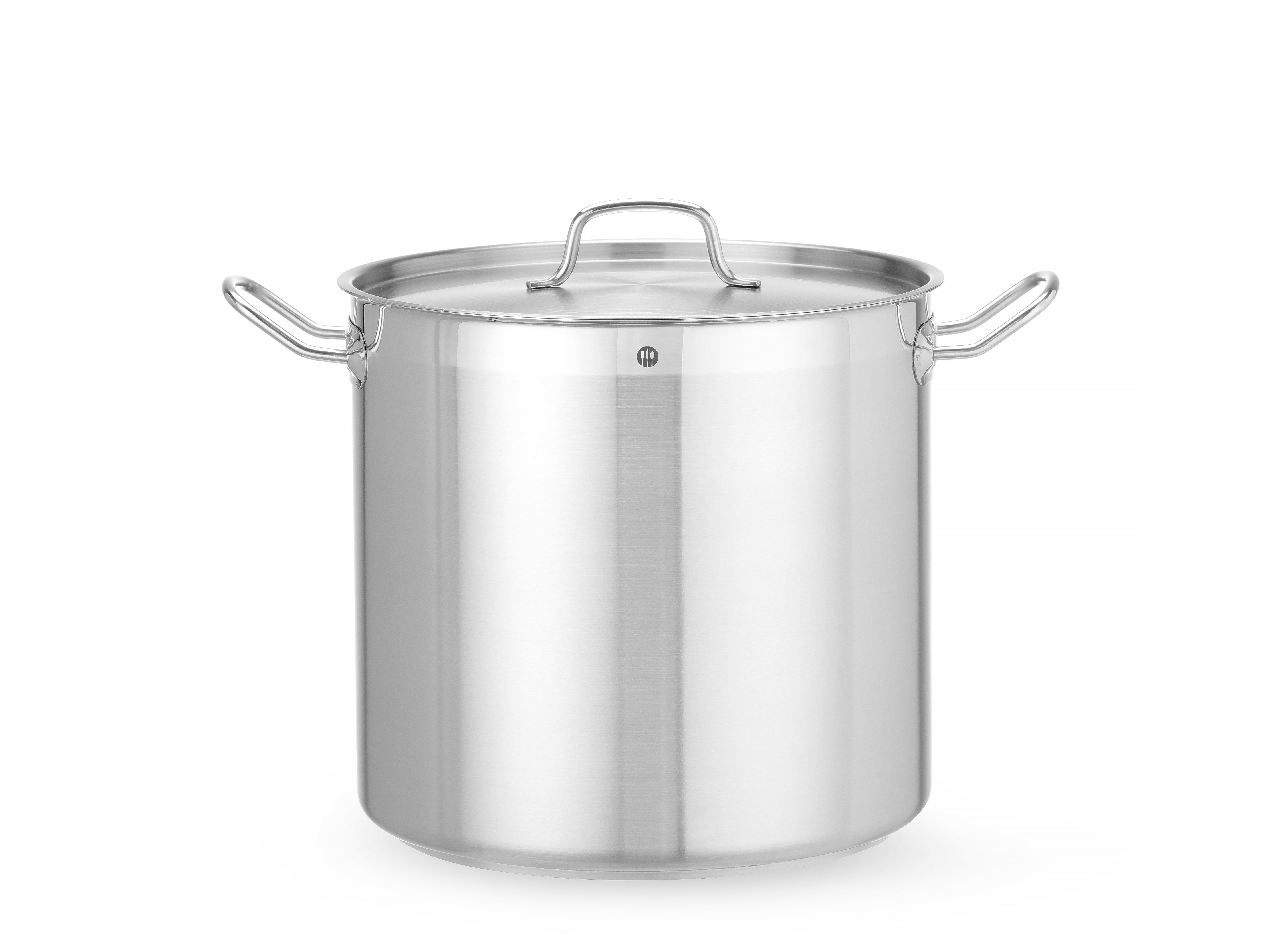 Pentola in acciaio inox con coperchio e due manici.