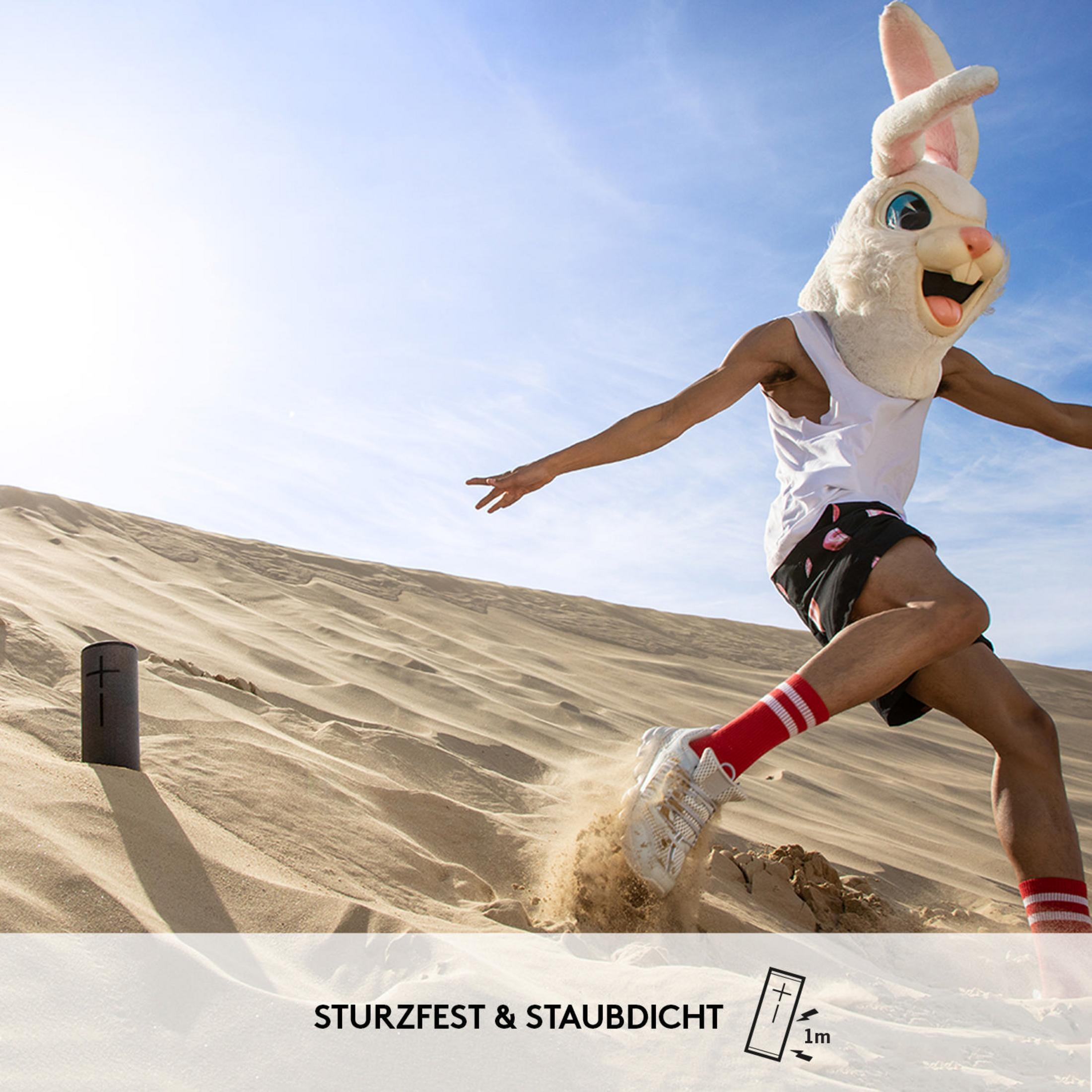 Osoba w kostiumie królika biegnie po wydmie z małym głośnikiem, tekst: "Sturzfest & Staubdicht".