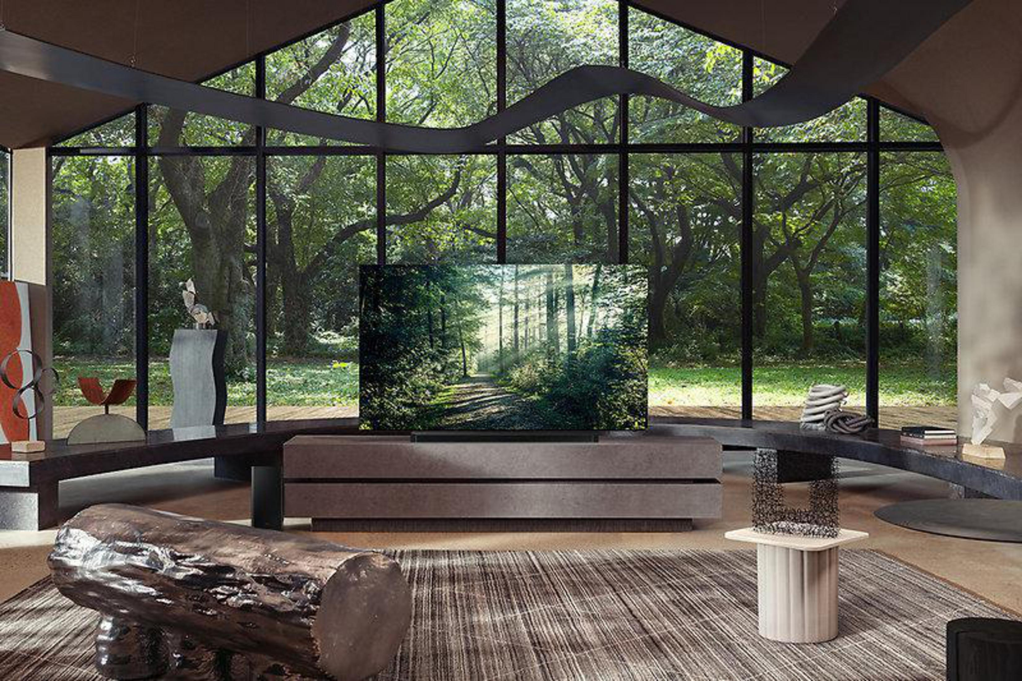 Salon z telewizorem, widokiem drzew za oknem i nowoczesnymi meblami.