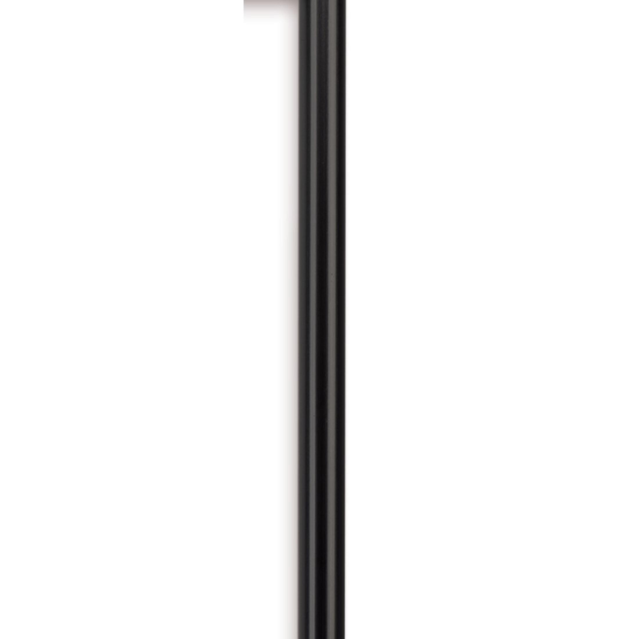 Poteau métallique noir sur fond blanc. Design vertical, long et élégant.