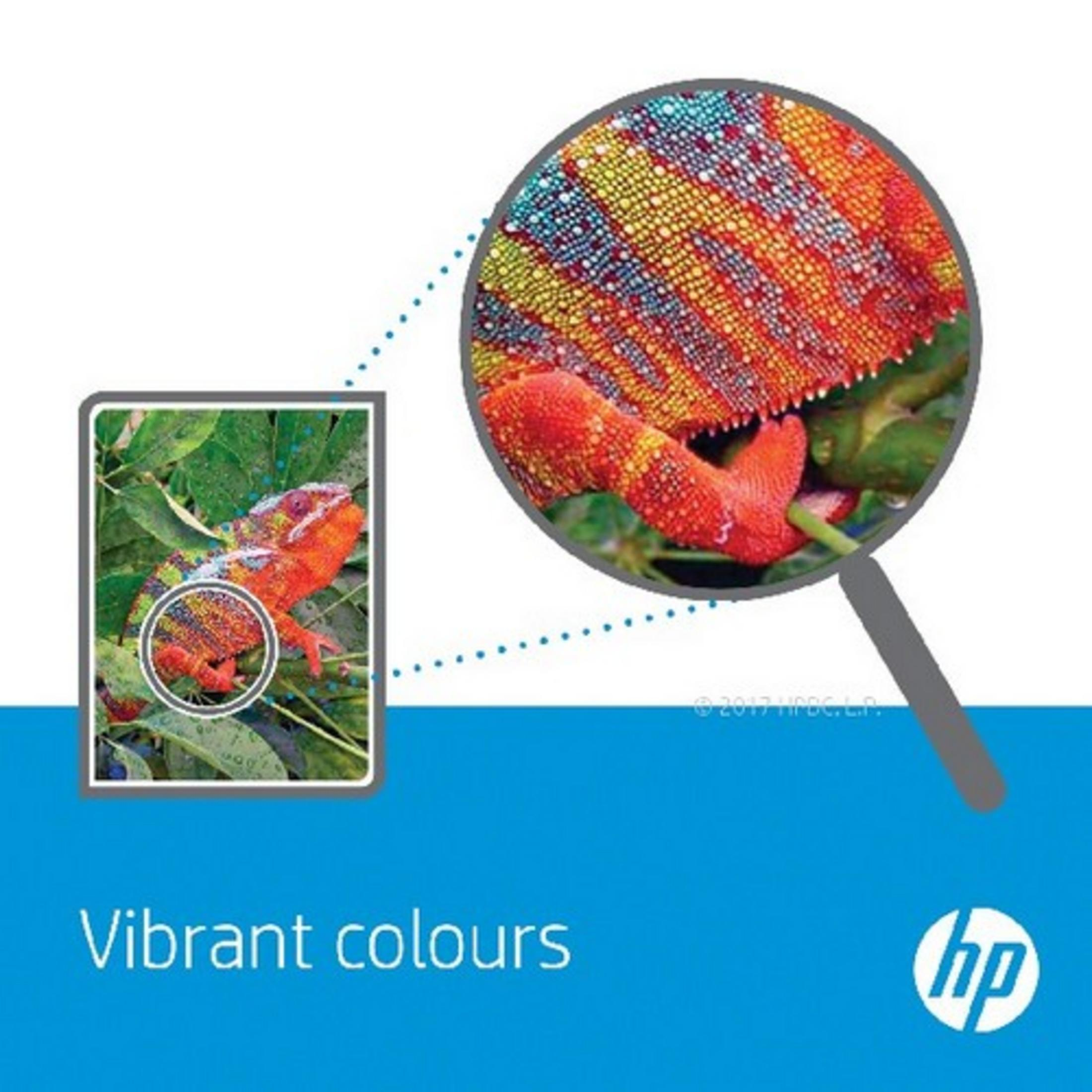 Kameleon na liściu, powiększony, i tekst "Vibrant colours".