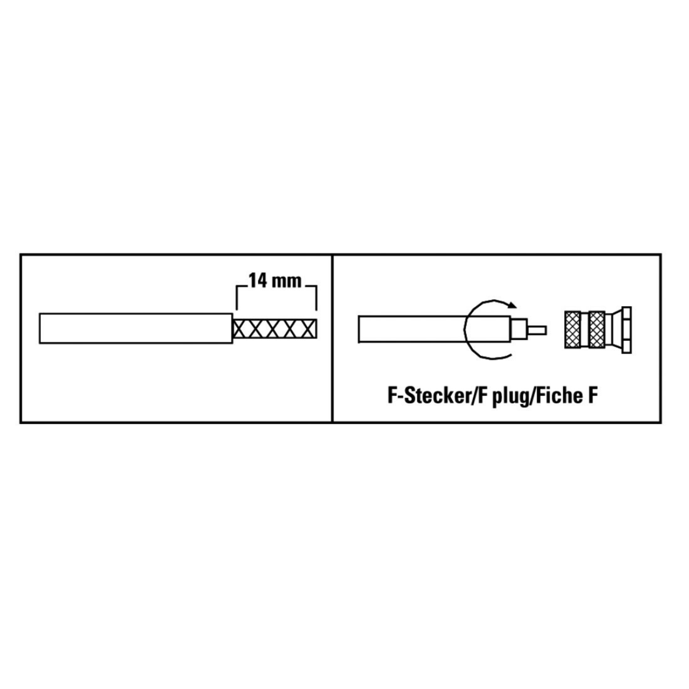 Technische Illustration eines F-Steckers/Fiche F-Anschlusses mit Abmessungen im Rechteck.