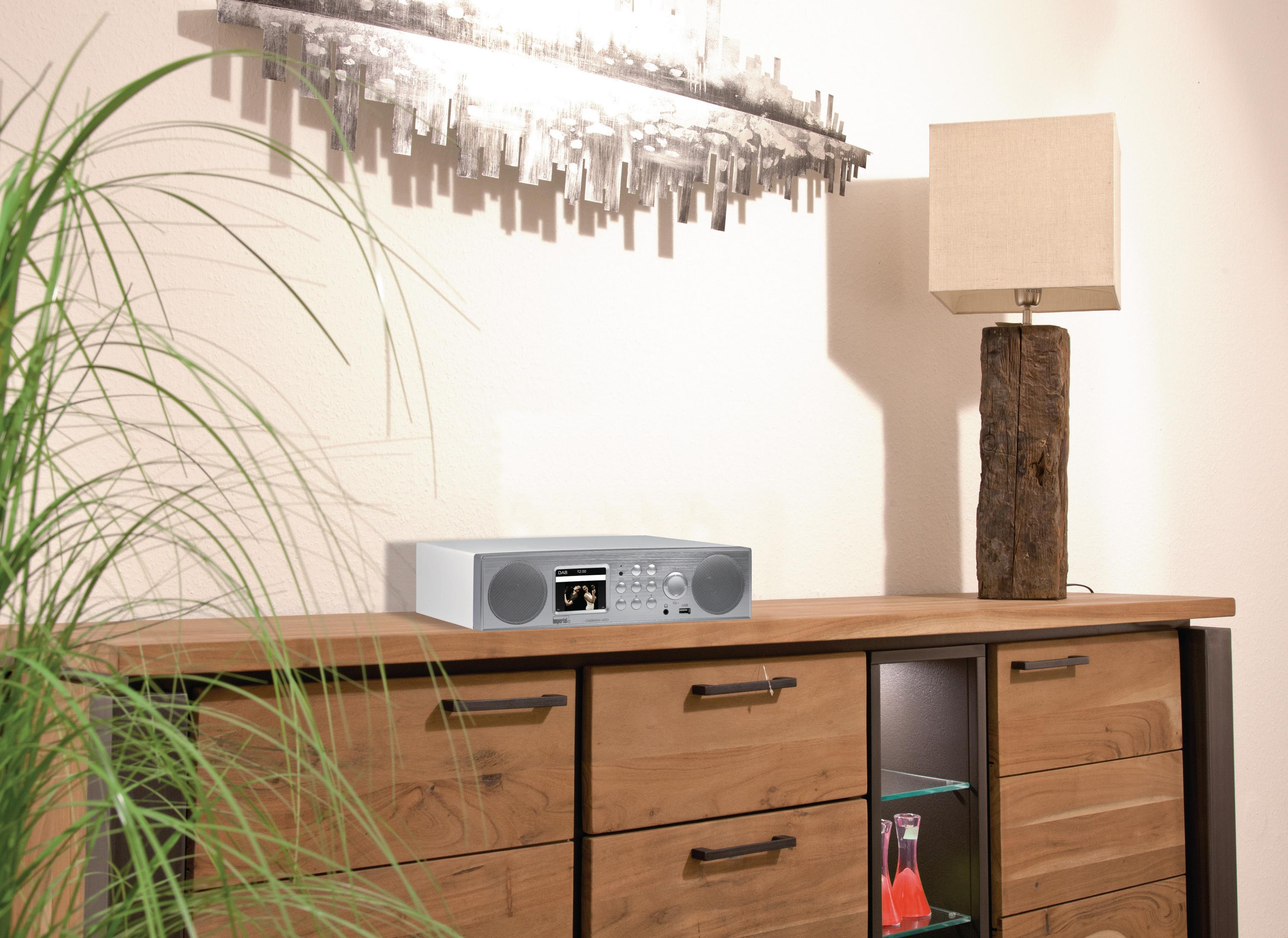 Radio plateada sobre superficie de madera con planta y lámpara.