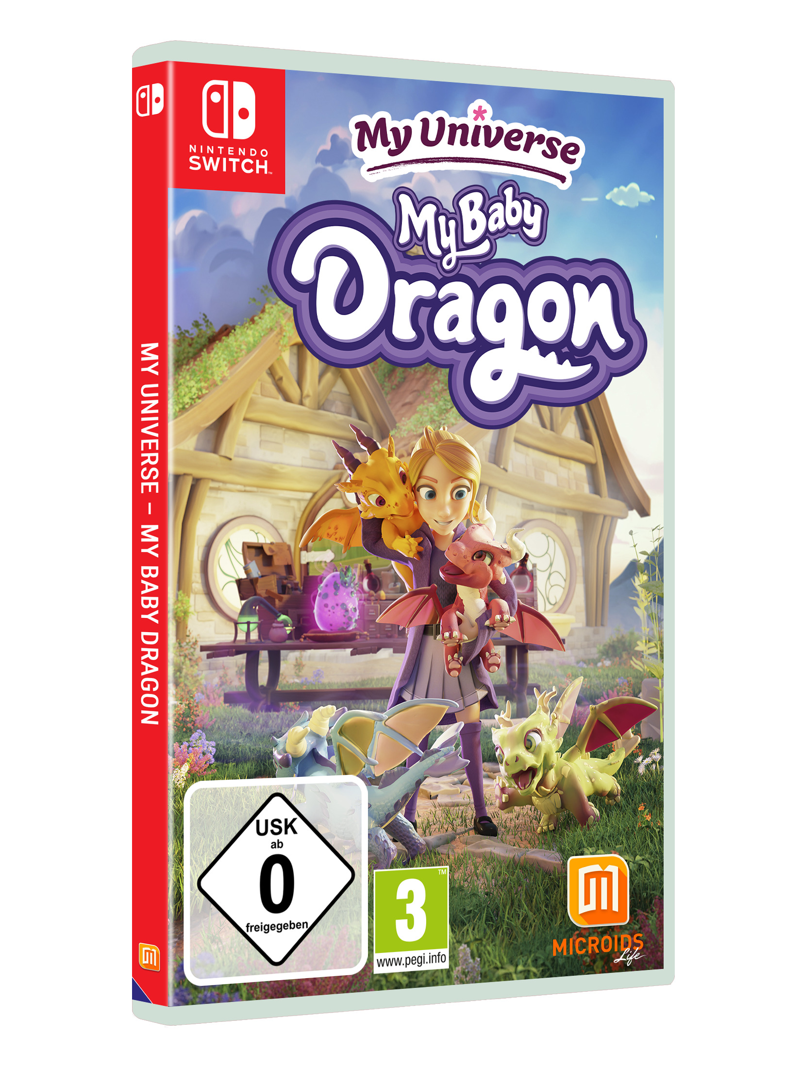 Spielbox für Nintendo Switch: Mädchen mit Drachen, vor einem Haus.