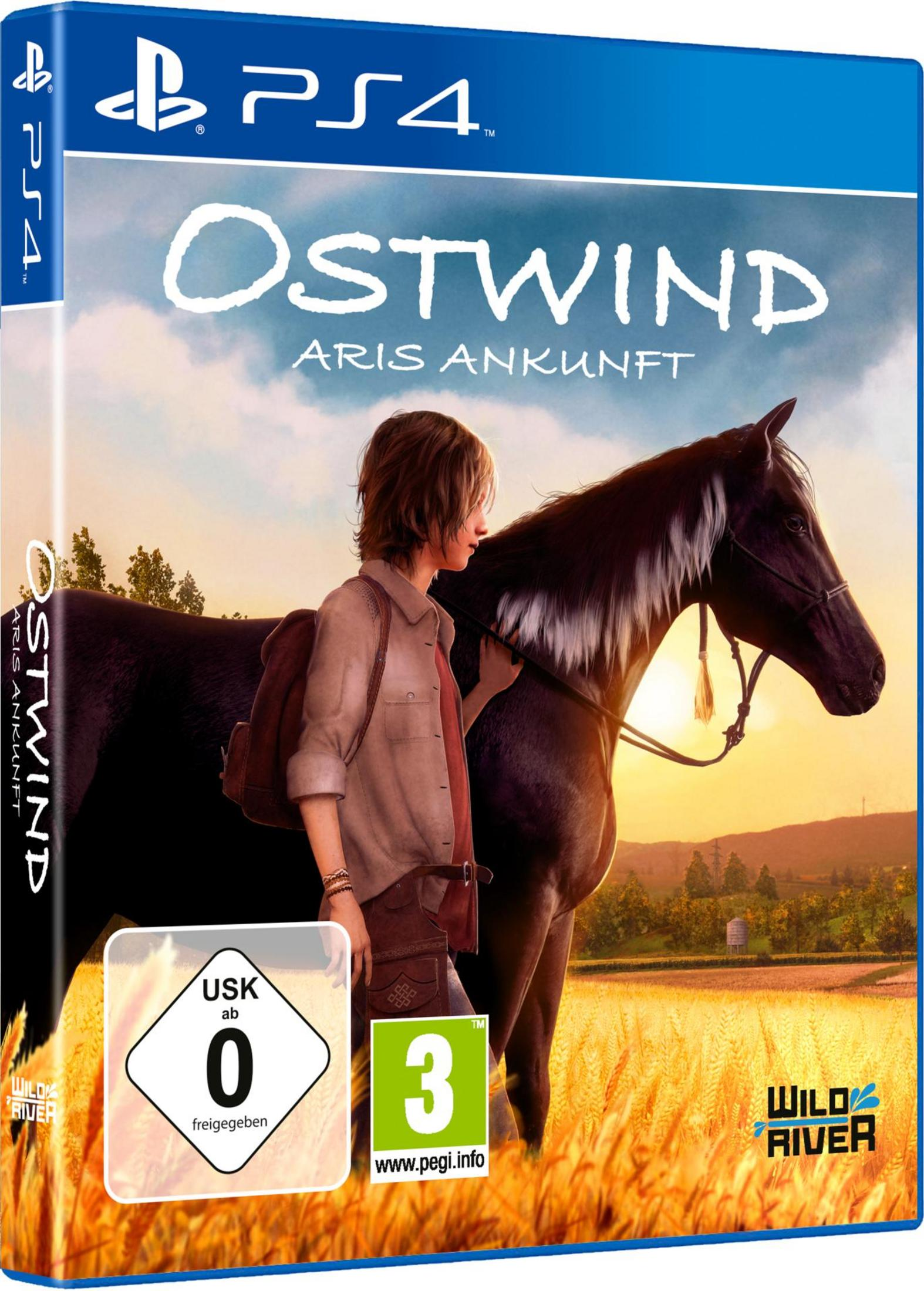 Scatola di gioco con una donna e un cavallo, sullo sfondo, un paesaggio con un tramonto.
